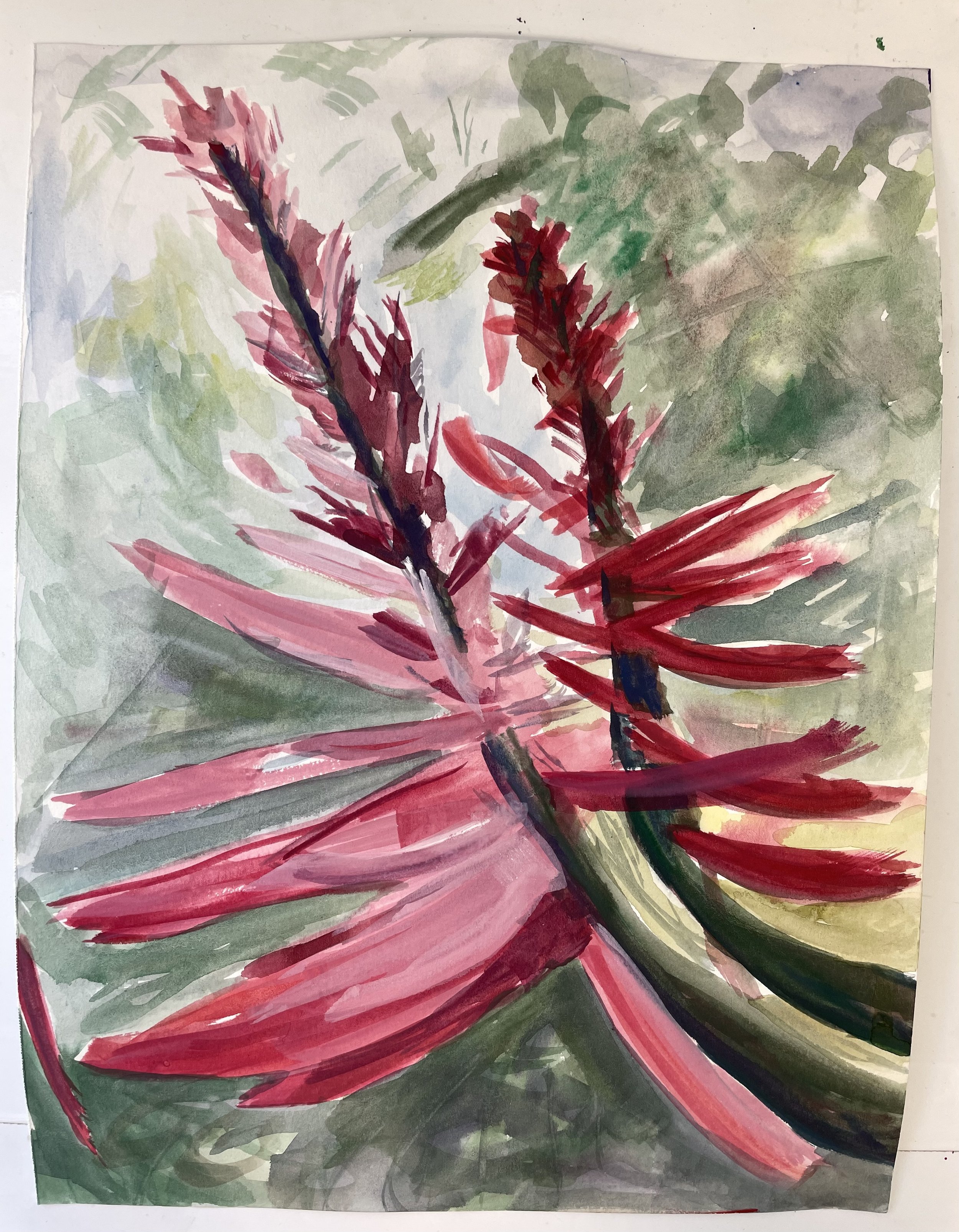 Red Flower
 Gouache on paper 
9" x 12"
2023