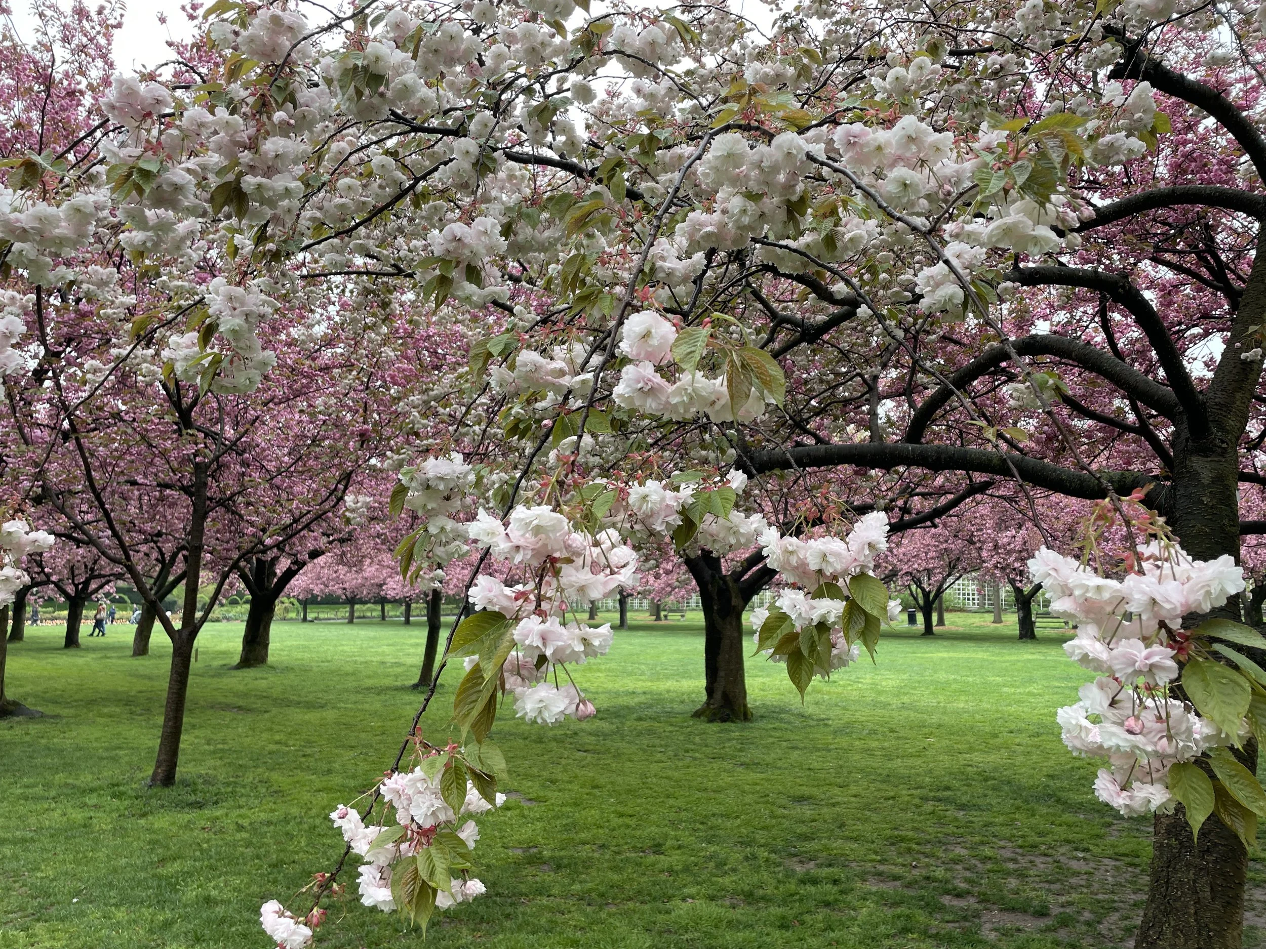 Think about spring.