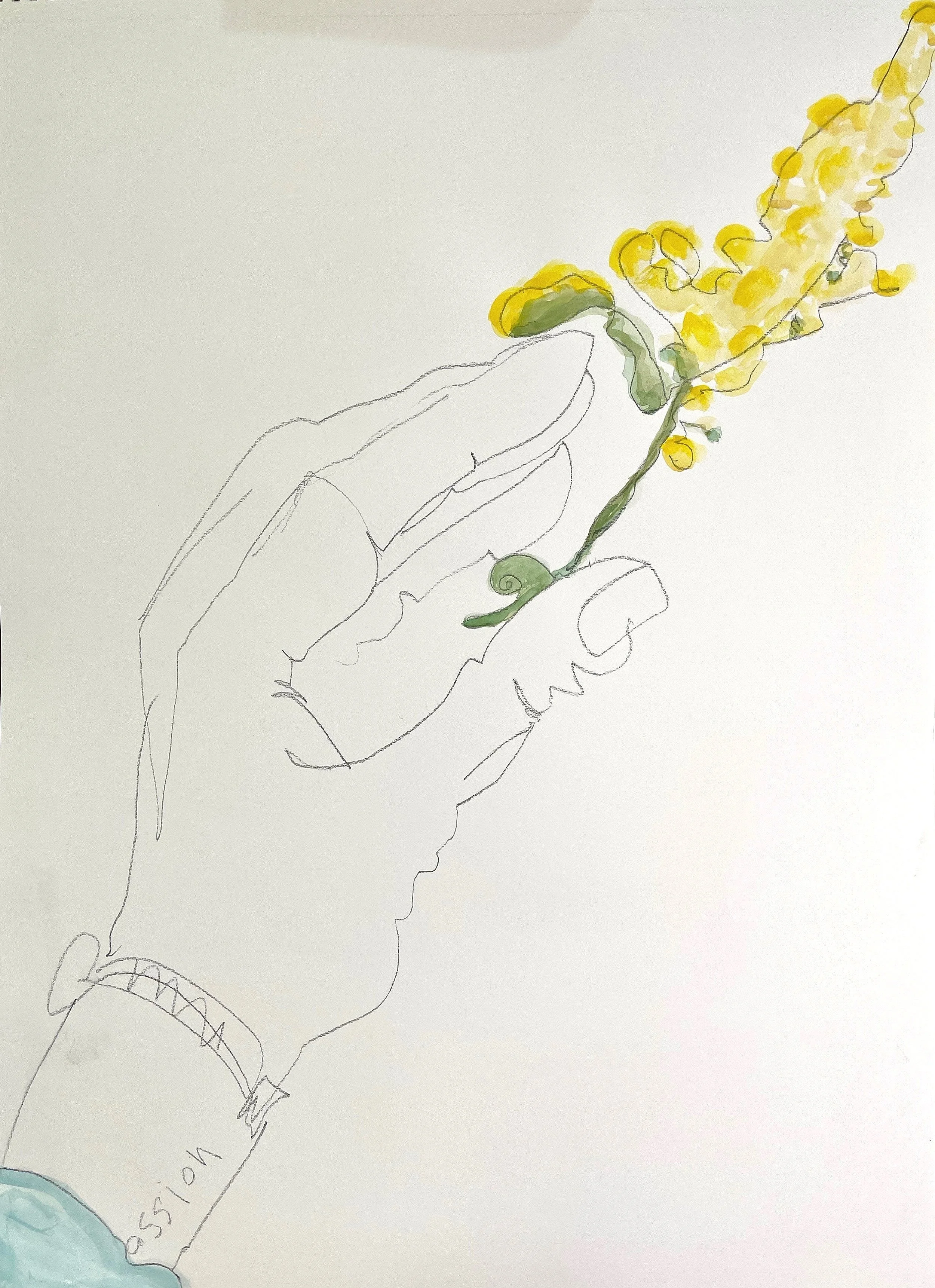 Dried Flowers Yellow
 Pencil on paper, gouache 
18" x 24"
2023
