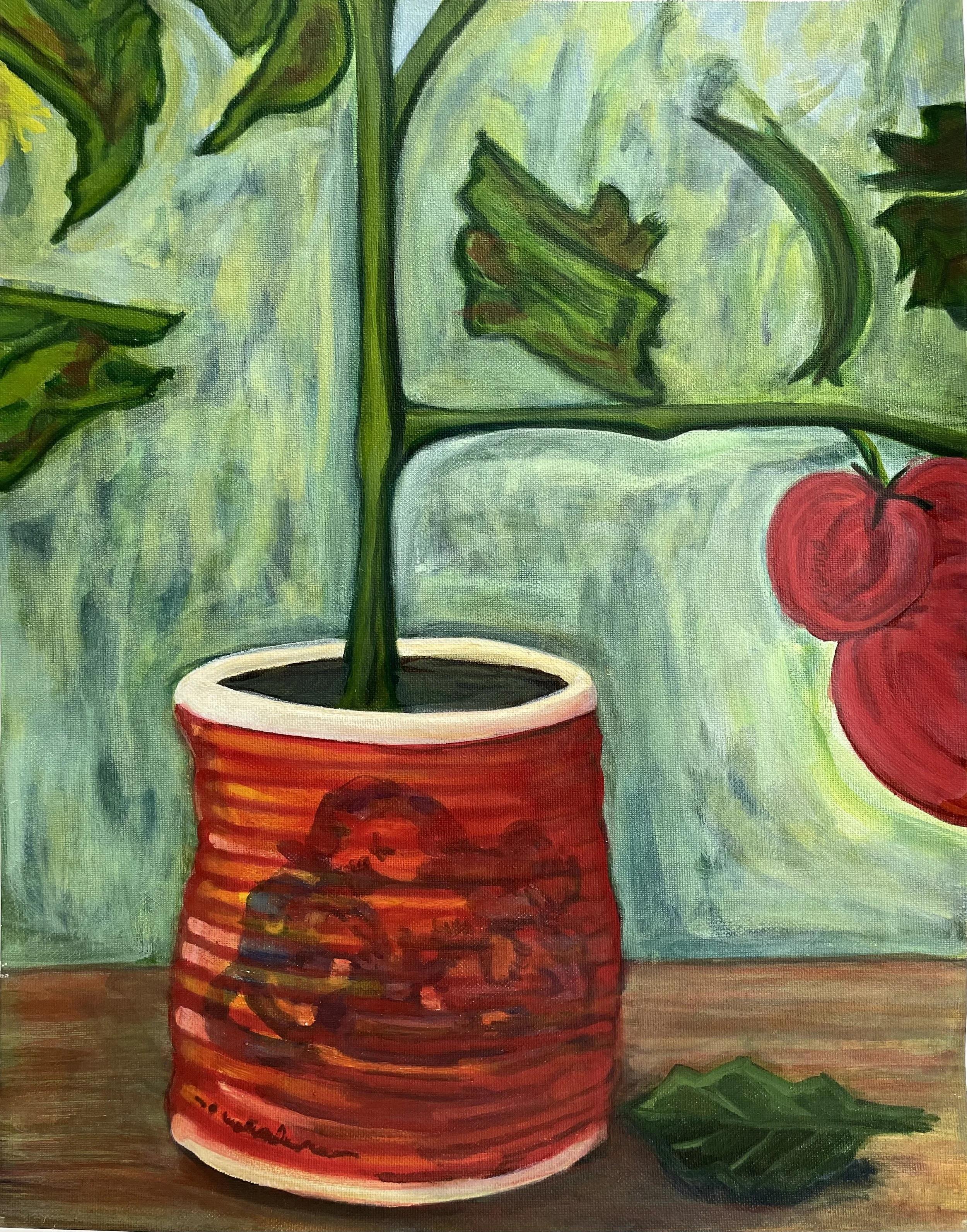 I pomodori di nono
 Oil on canvas  
16" x 20"
2024