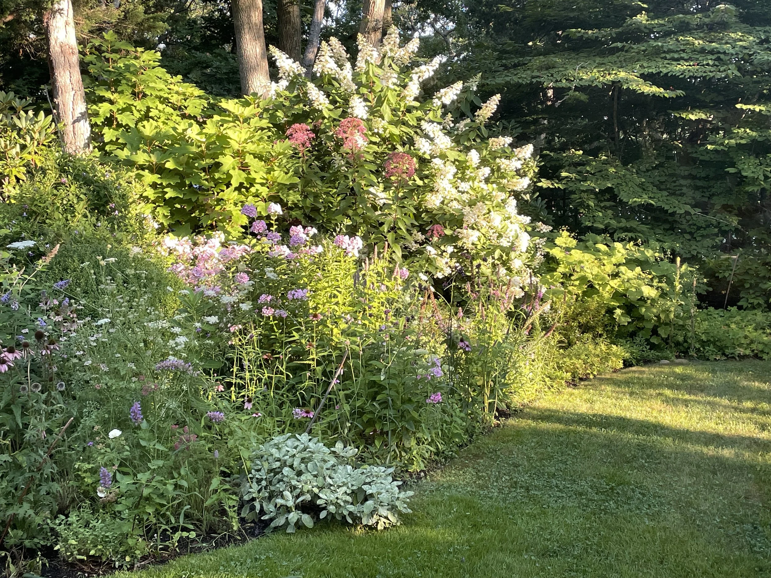 Dog days of August.