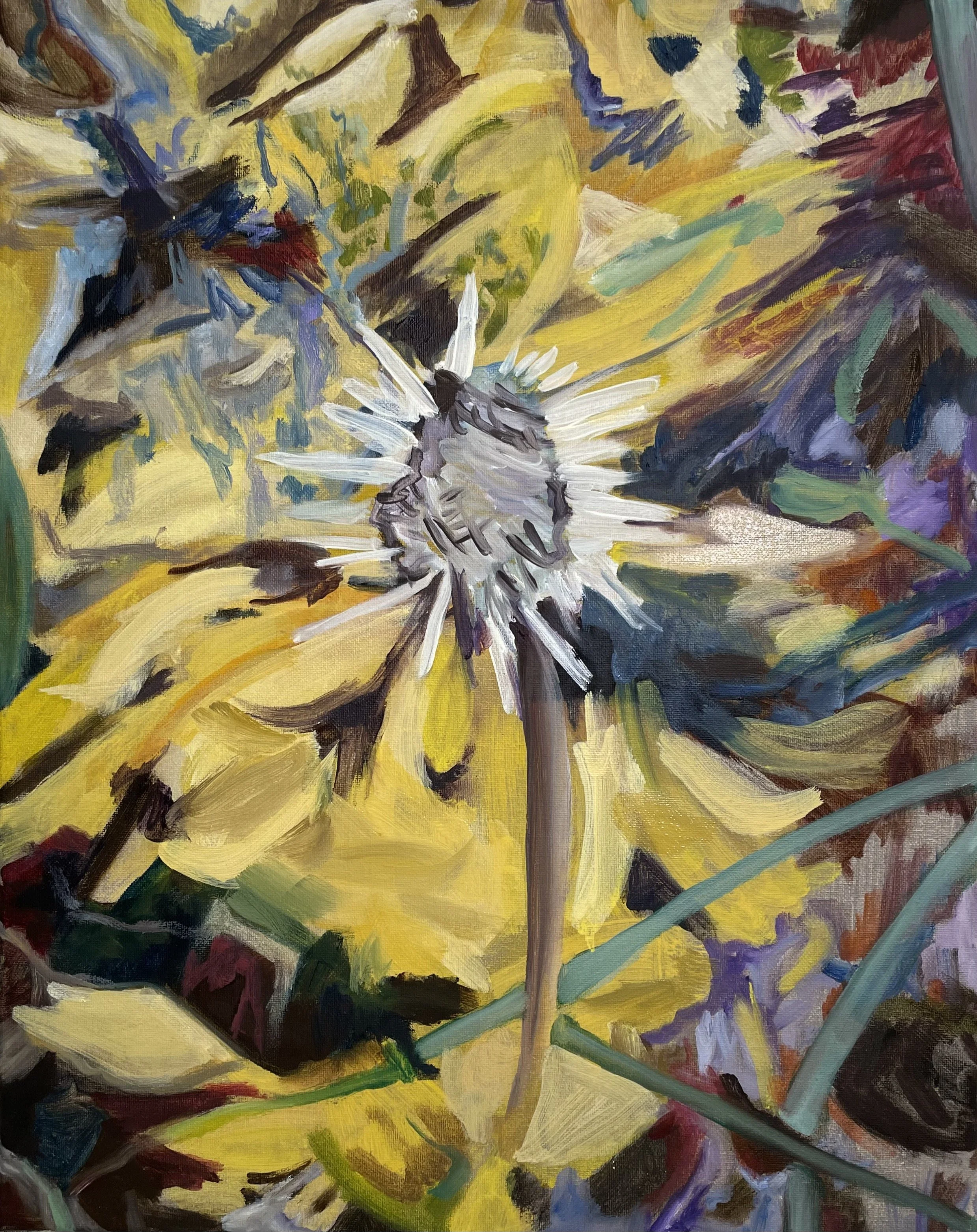 Fall echinacea v 3
 Oil on canvas 
11" x 14"
2023