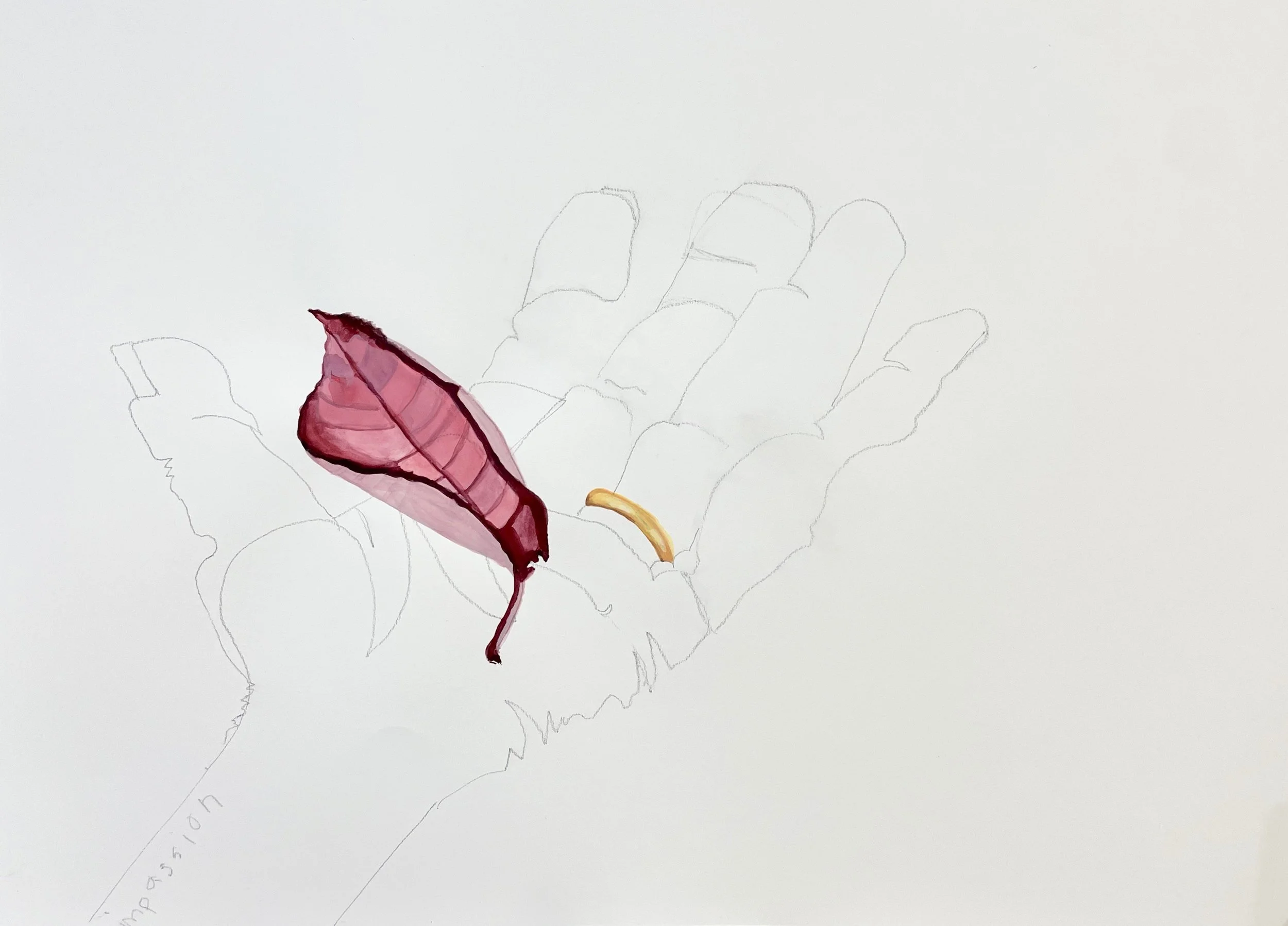 Red leaf in hand
 pencil with gouache 
18" x 24"
2023