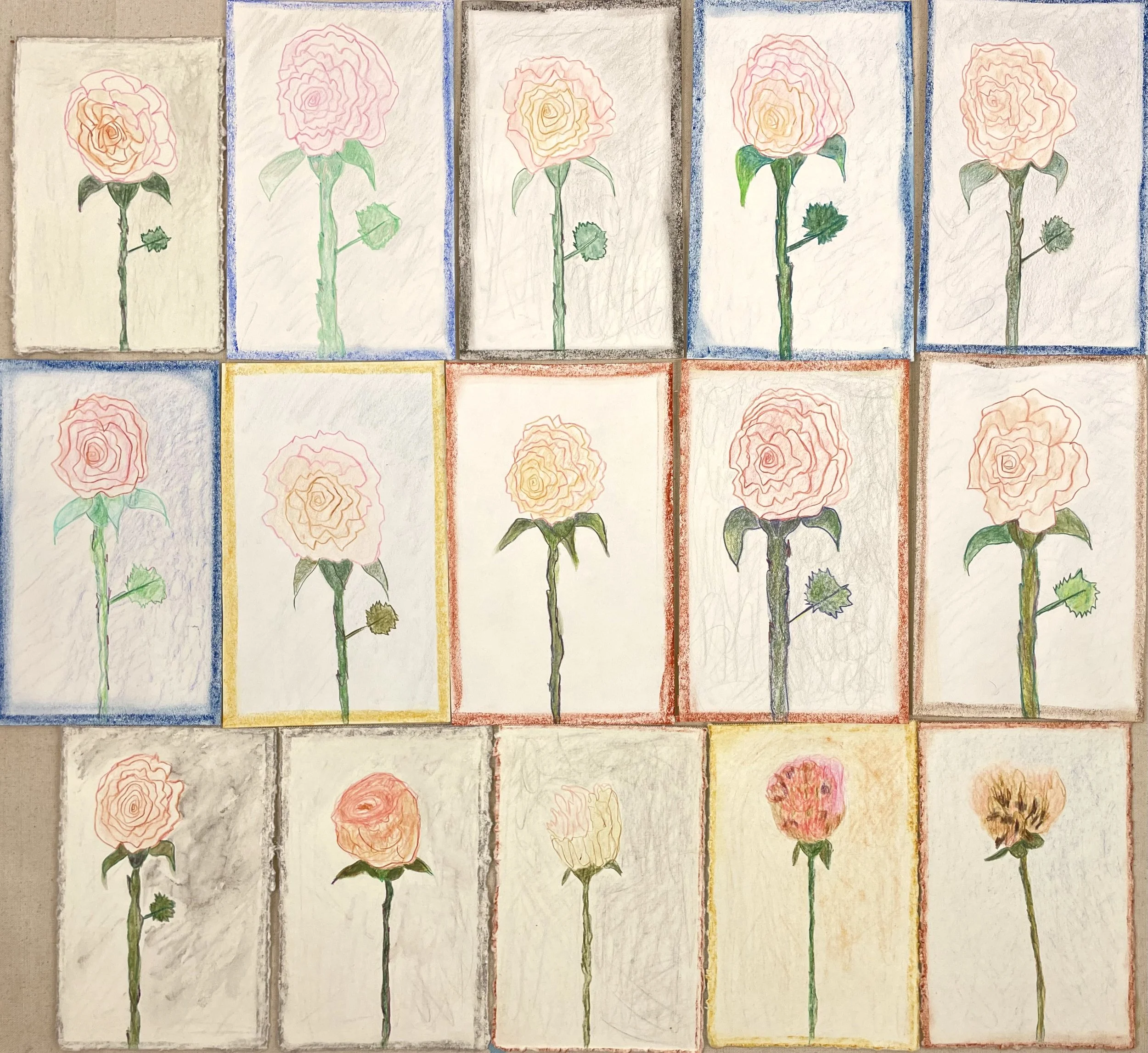 Meditation on a rose
 Color pencil and oil pastel on paper 
Various sizes approx 4"x6" each 
2025-ongoing