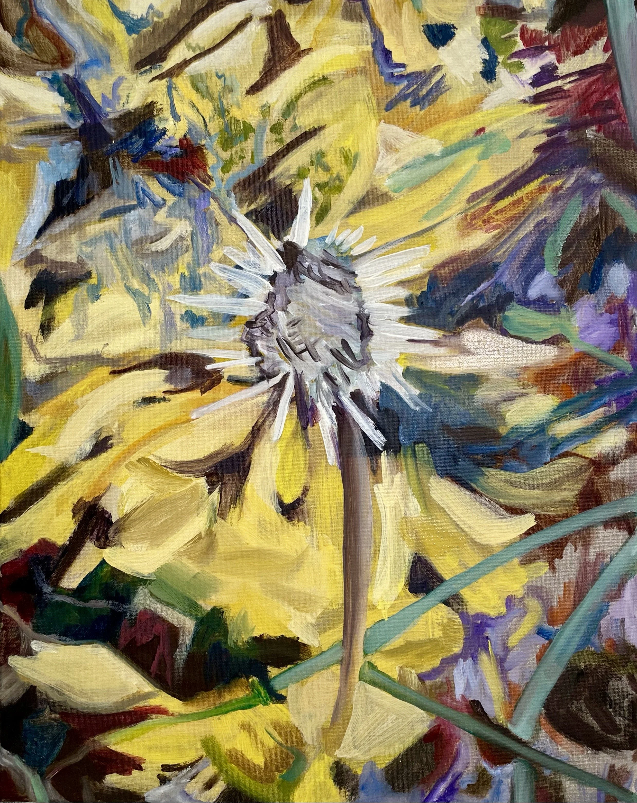Fall echinacea v 3
 Oil on canvas 
11" x 14"
2023