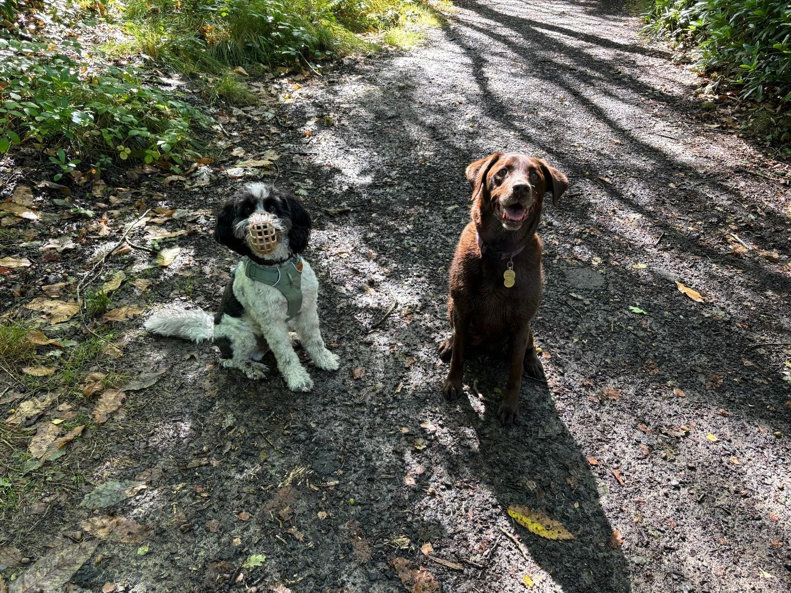 WhatsApp Image 2026-02-14 at 17.23.34 (2).jpeg