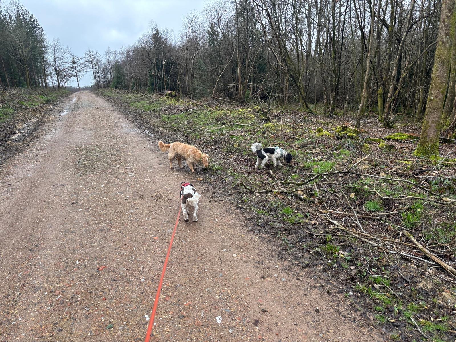 WhatsApp Image 2026-02-14 at 17.23.34 (8).jpeg