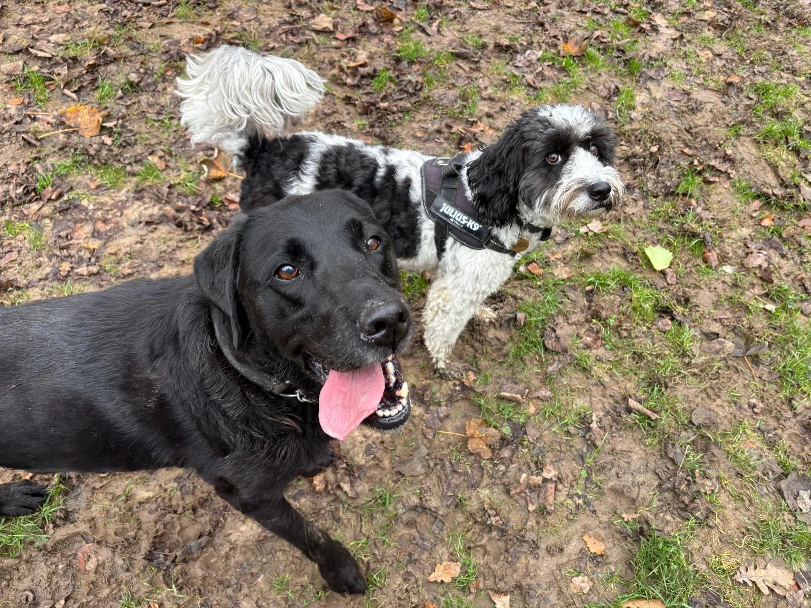 WhatsApp Image 2026-02-14 at 17.23.34.jpeg