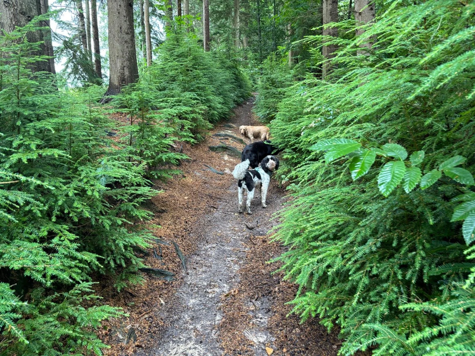 WhatsApp Image 2026-02-14 at 17.23.34 (1).jpeg