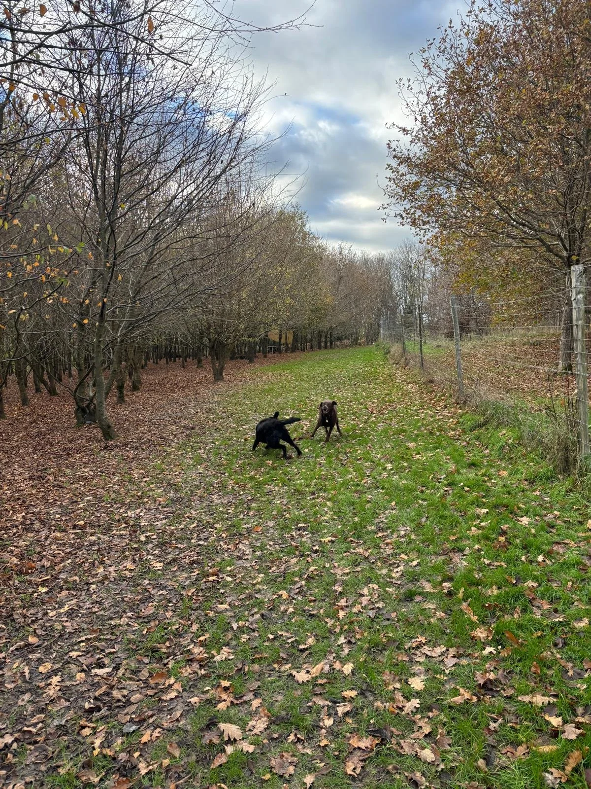 WhatsApp Image 2026-02-14 at 17.23.34 (6).jpeg