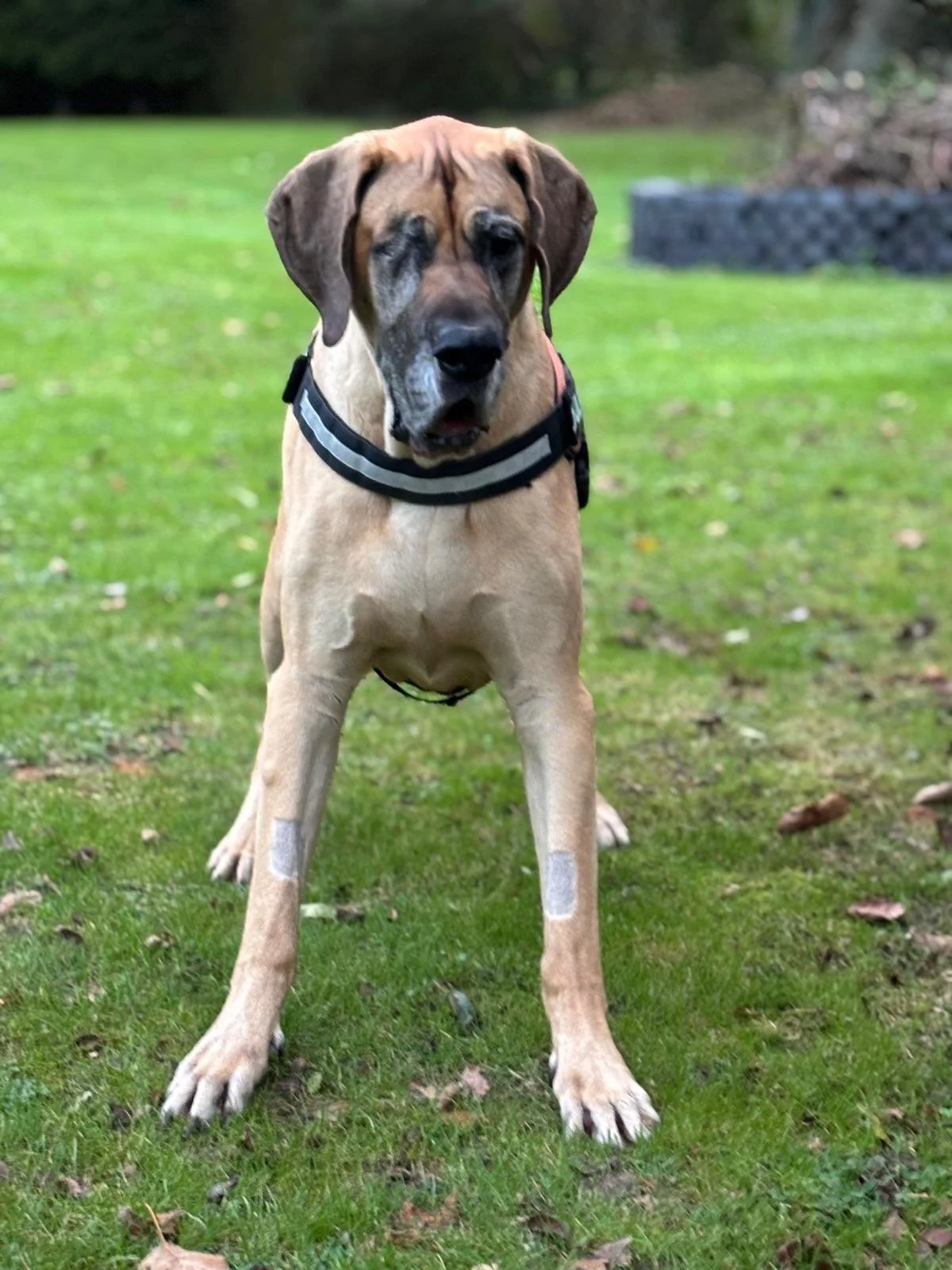 WhatsApp Image 2026-02-14 at 17.23.34 (7).jpeg