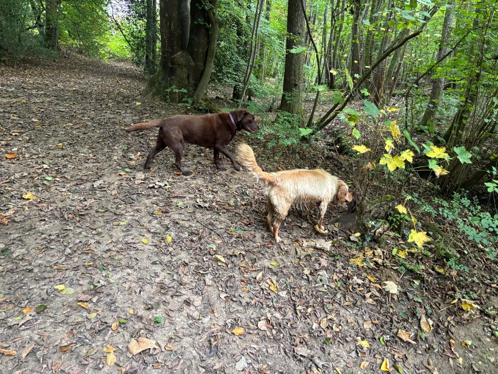 WhatsApp Image 2026-02-14 at 17.23.34 (4).jpeg