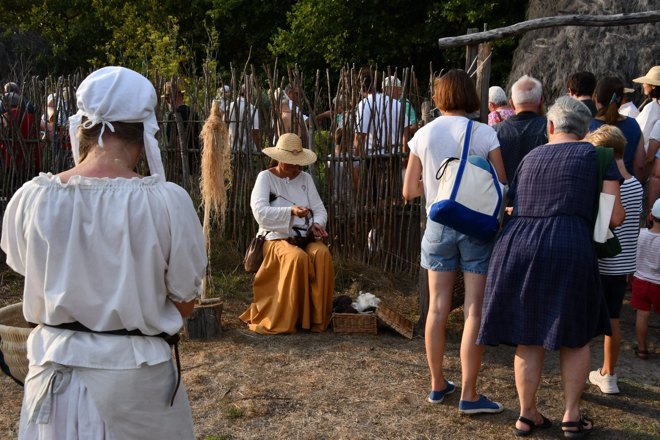 DSC_0772.JPG