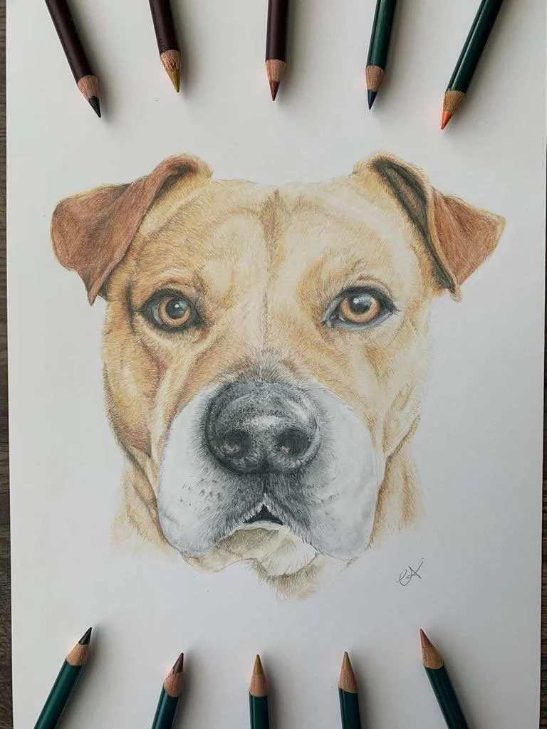Custom pet portraits created in Wonthaggi, Victoria