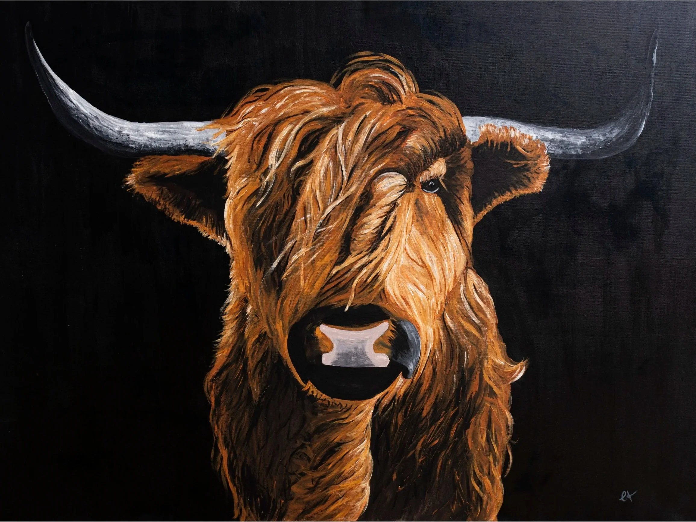 Canvas art, painting, and print. Highland Cow.