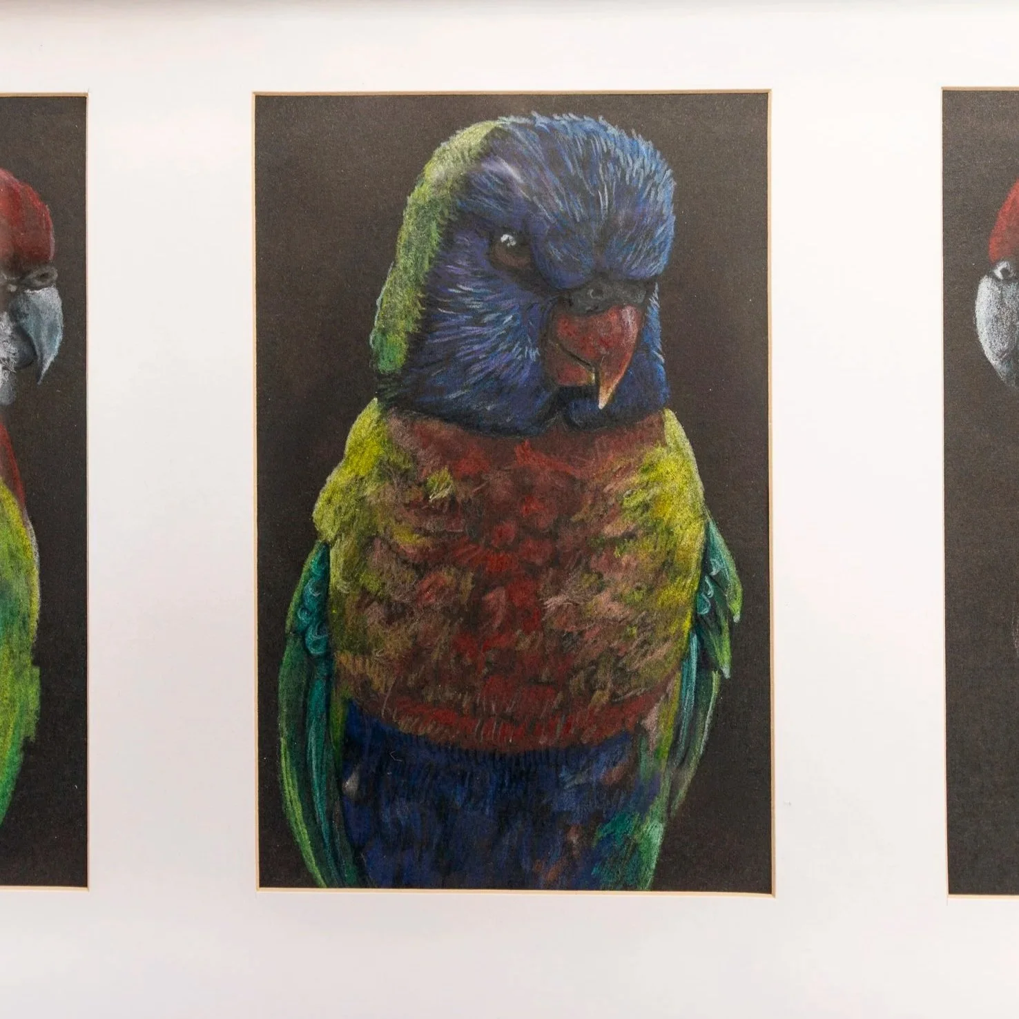 Drawing Workshop - Birds