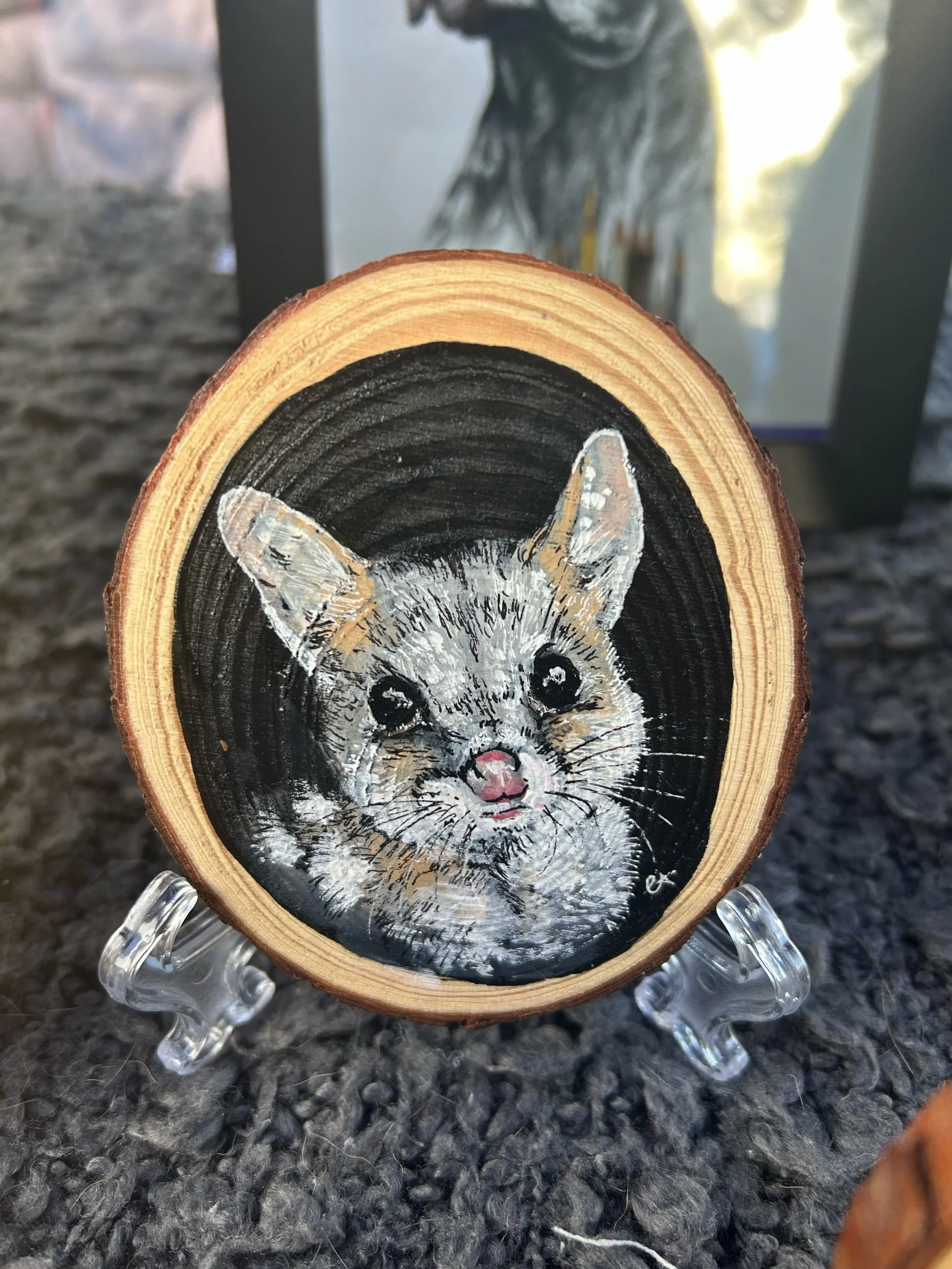 Tree Hollow Collection - Spotted Quoll Painting Art