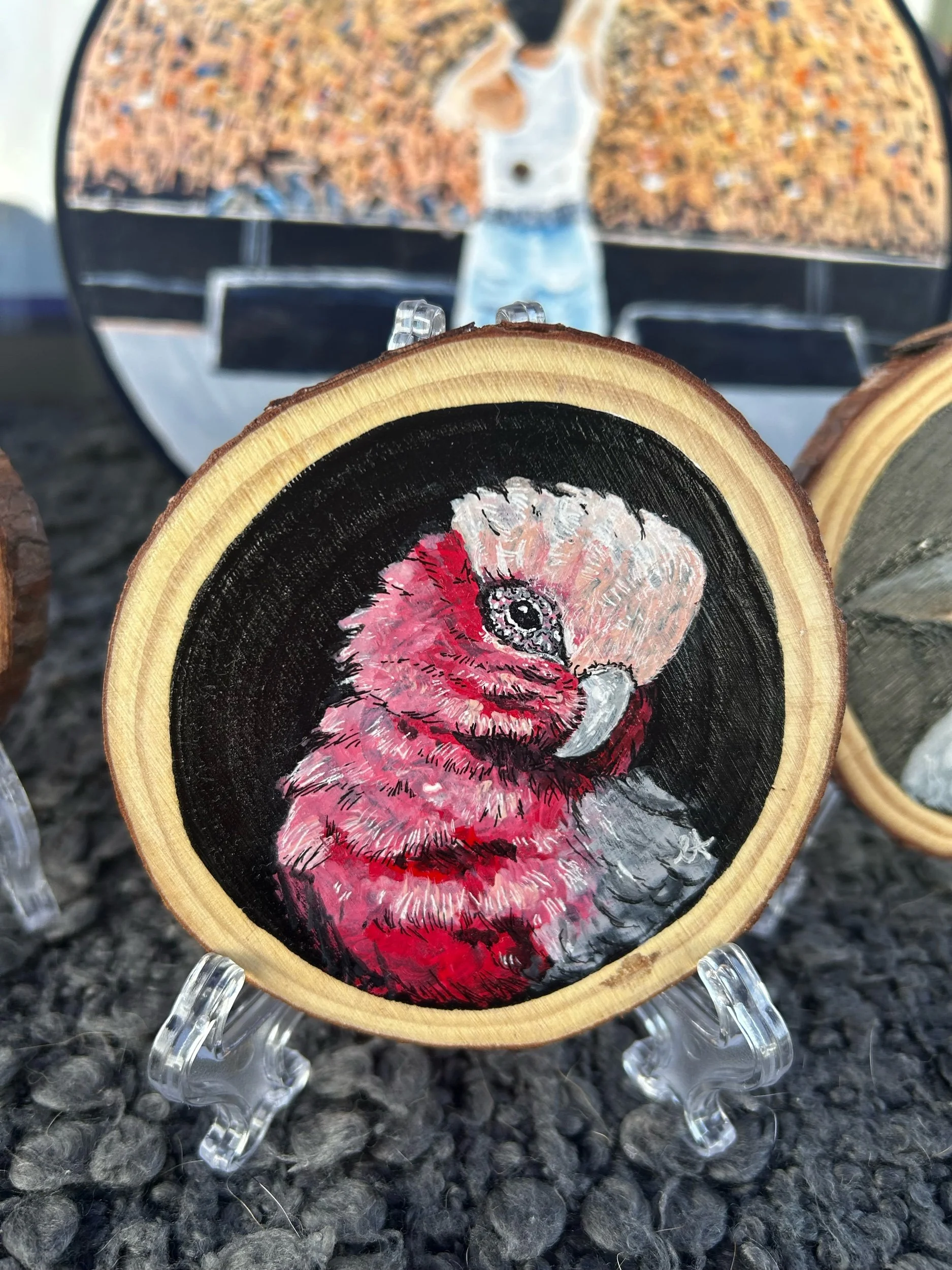 Tree Hollow Collection - Pink and Grey Galah Painting Art