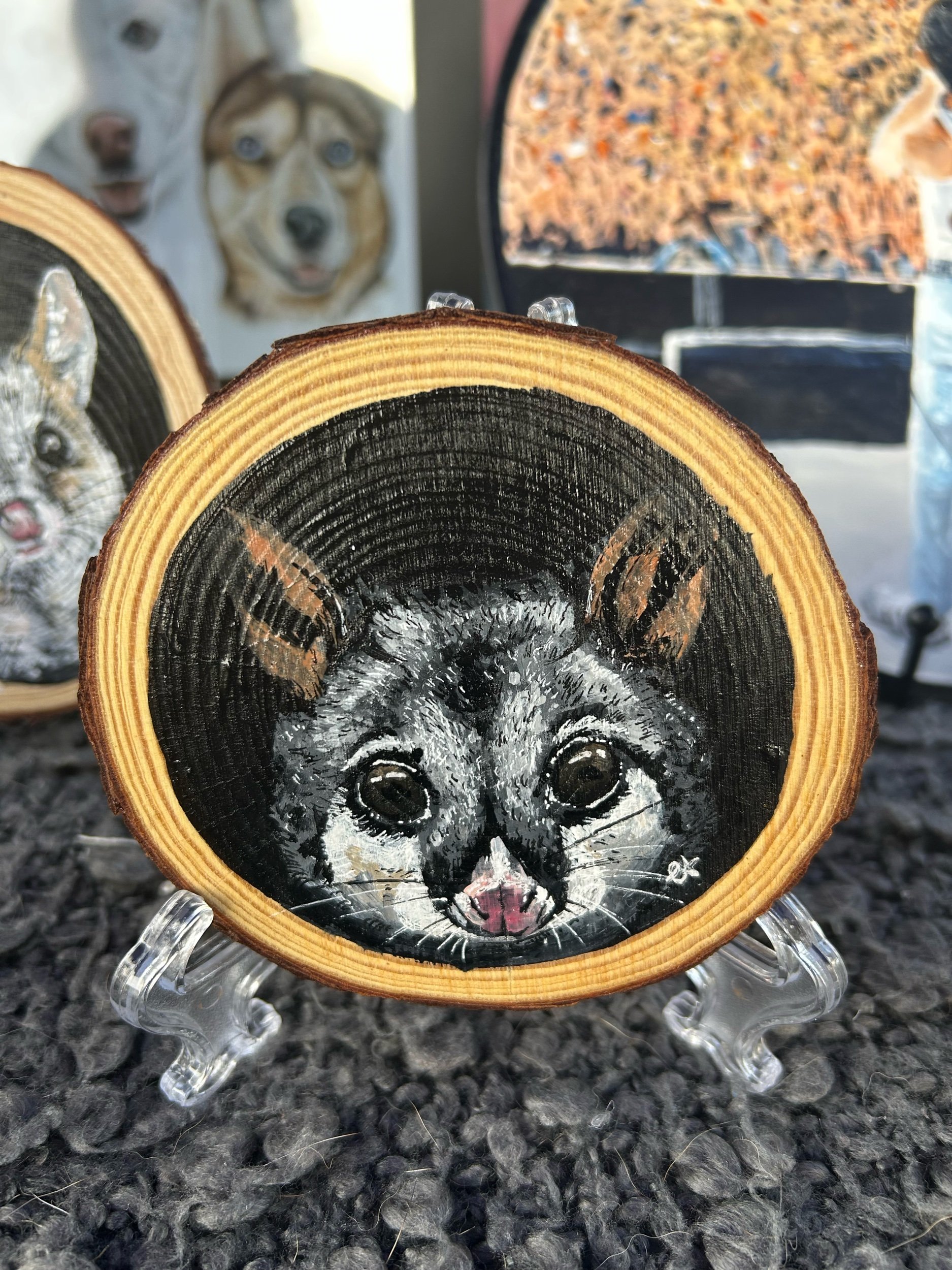Tree Hollow Collection - Brushtail Possum Painting Art
