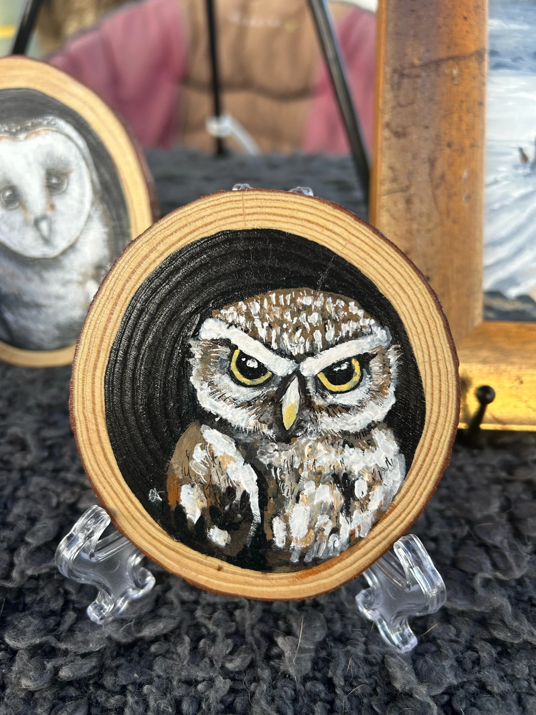 Tree Hollow Collection - Boobook Owl Painting Art