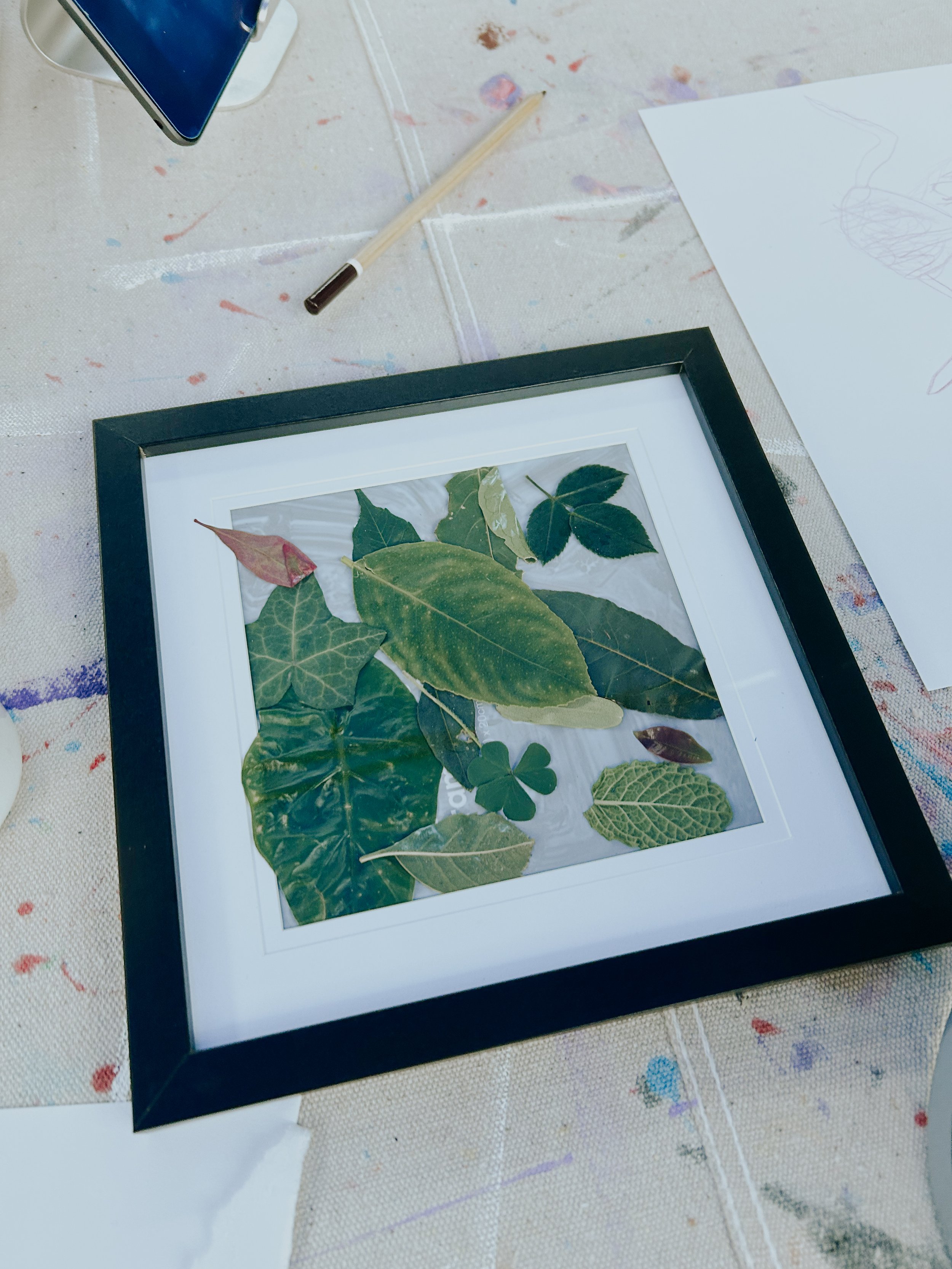 A framed display of various pressed leaves on a white background, placed on a paint-splattered table.