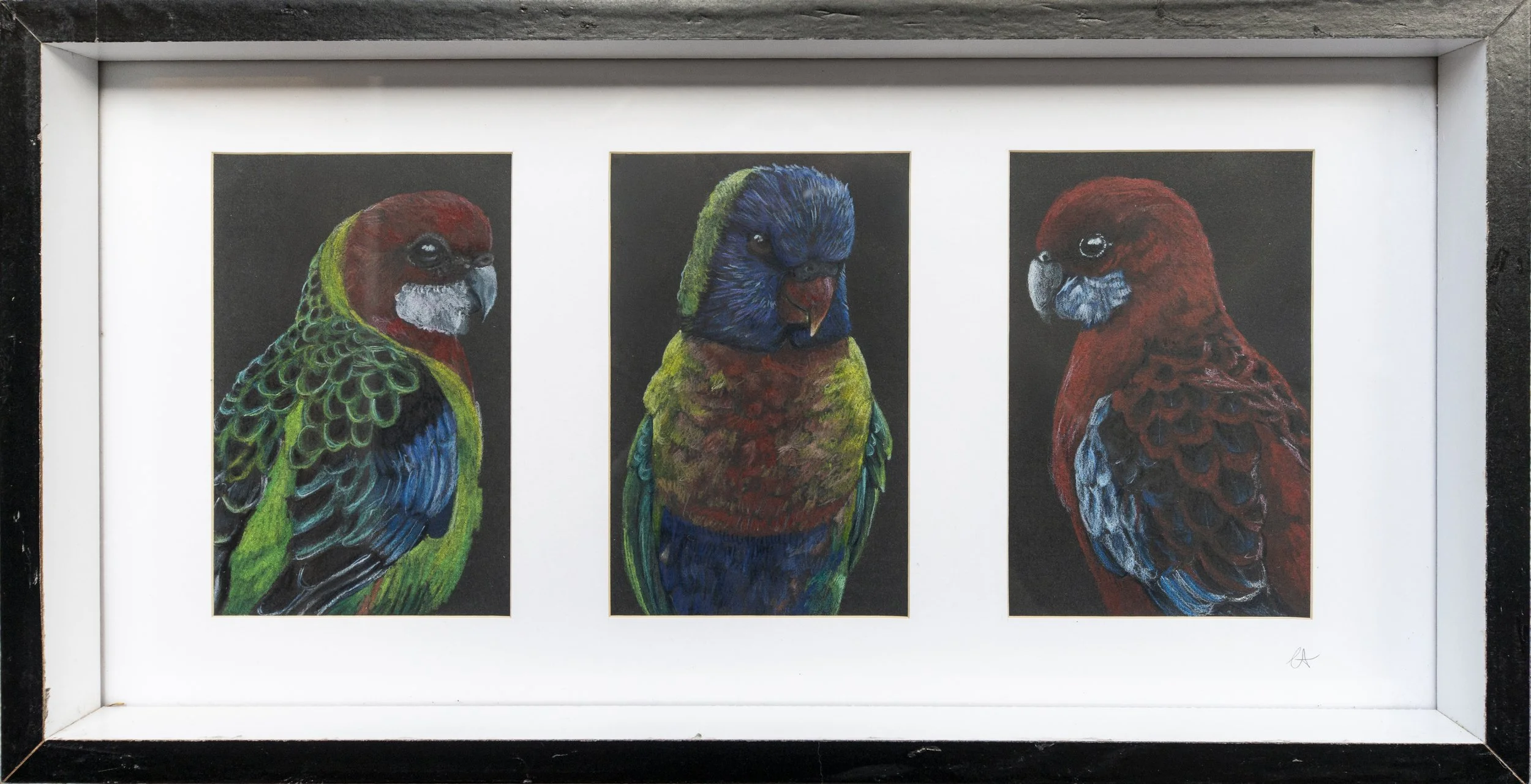 Australian Birds Trio