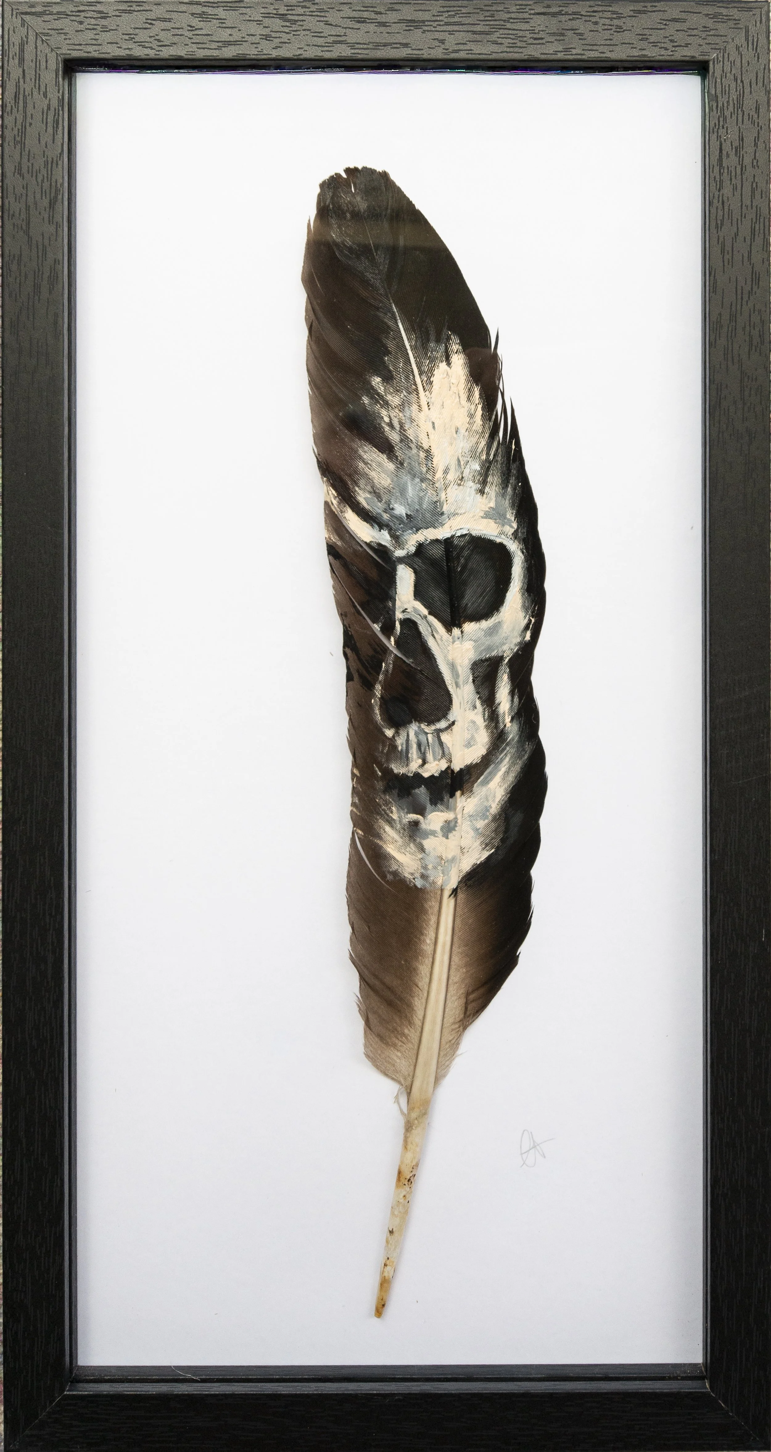 Painted Feathers-1.jpg