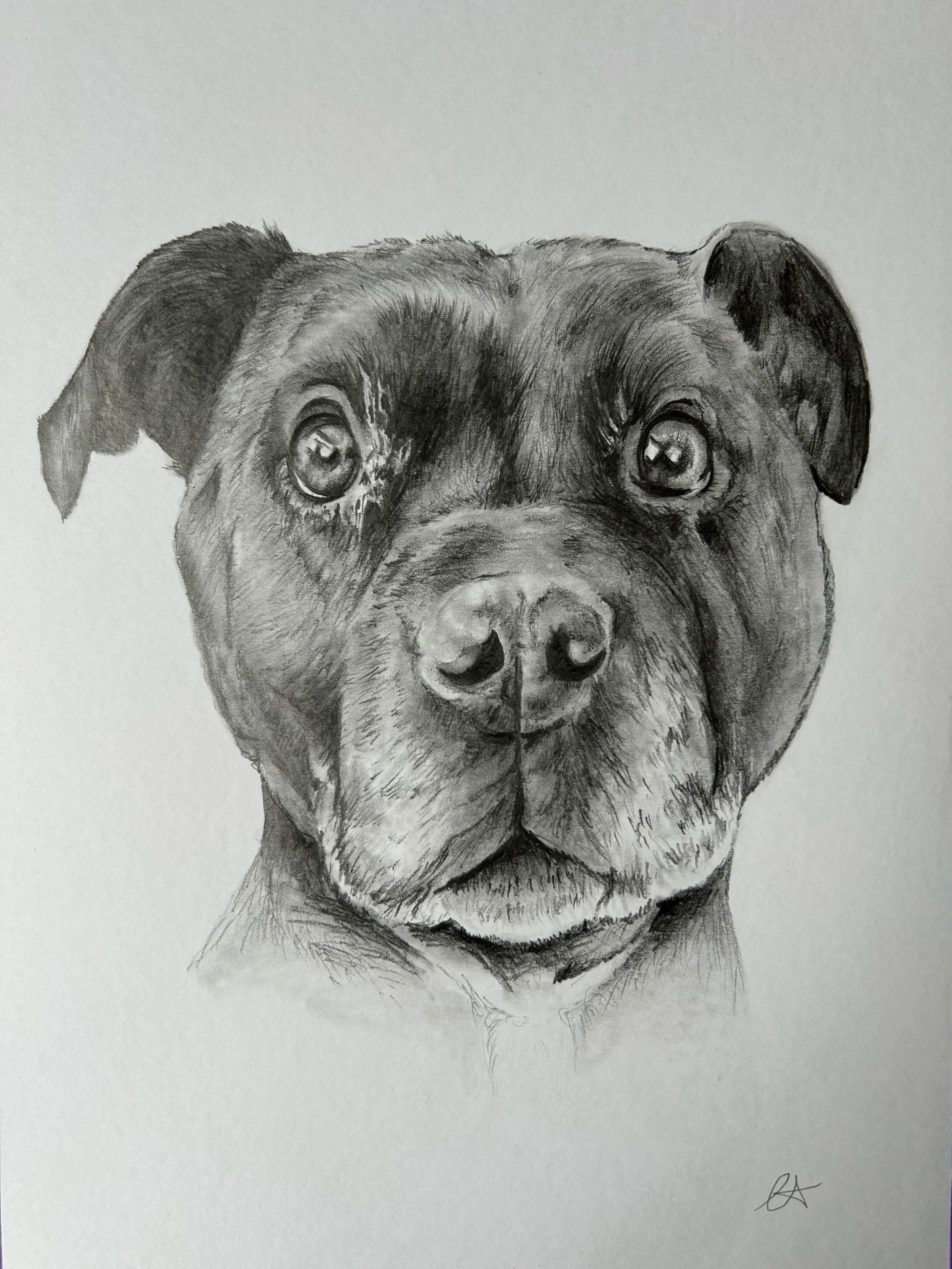 Custom pet portrait by Art by Chelsea Anne in Wonthaggi on the Bass Coast
