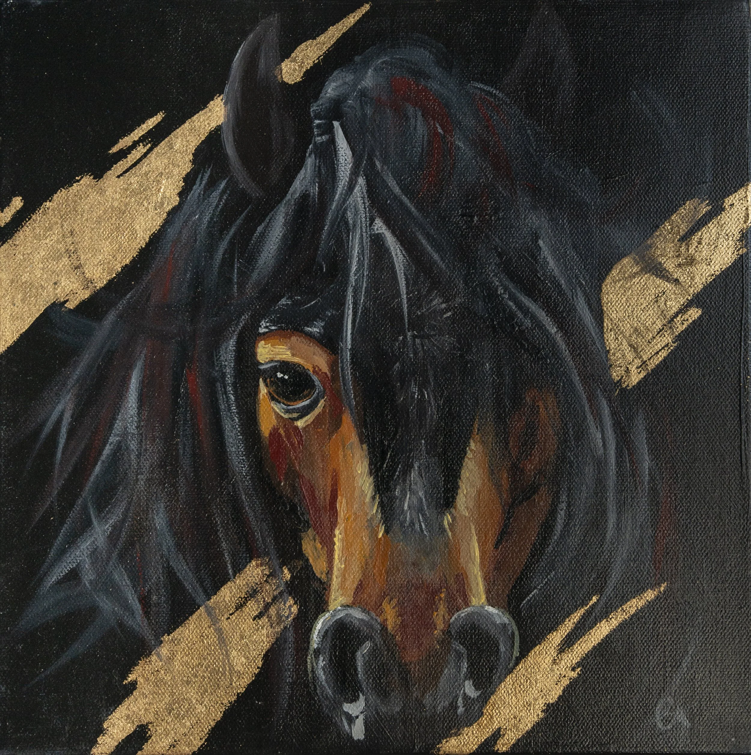 Wild Horses Collection