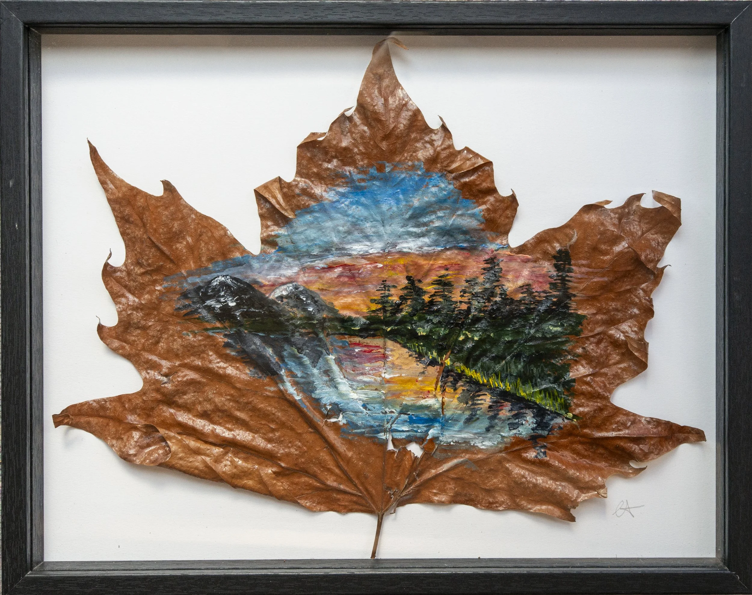 Maple Leaves-2.jpg