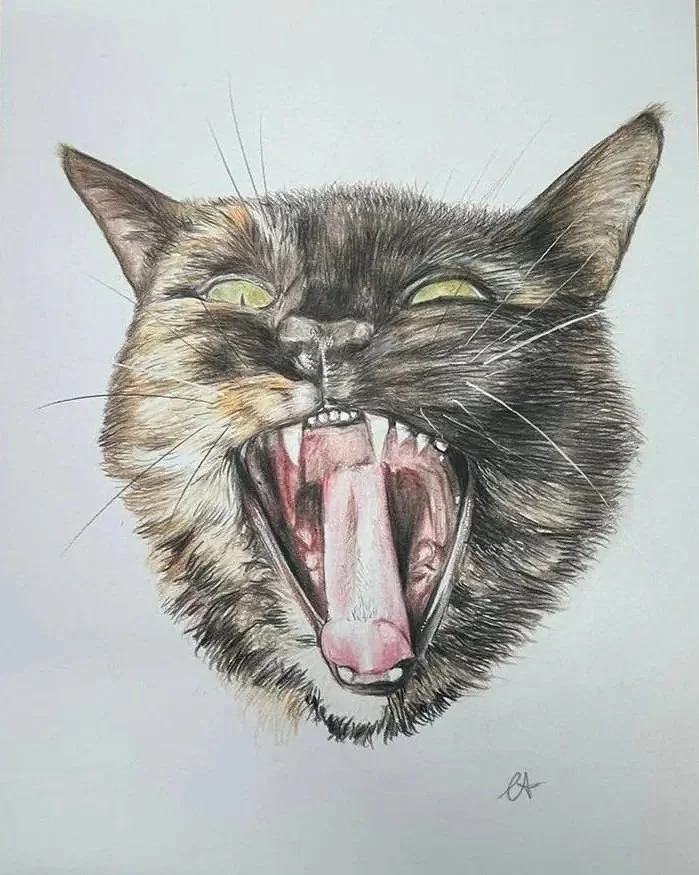 Custom pet portrait by Art by Chelsea Anne in Wonthaggi on the Bass Coast