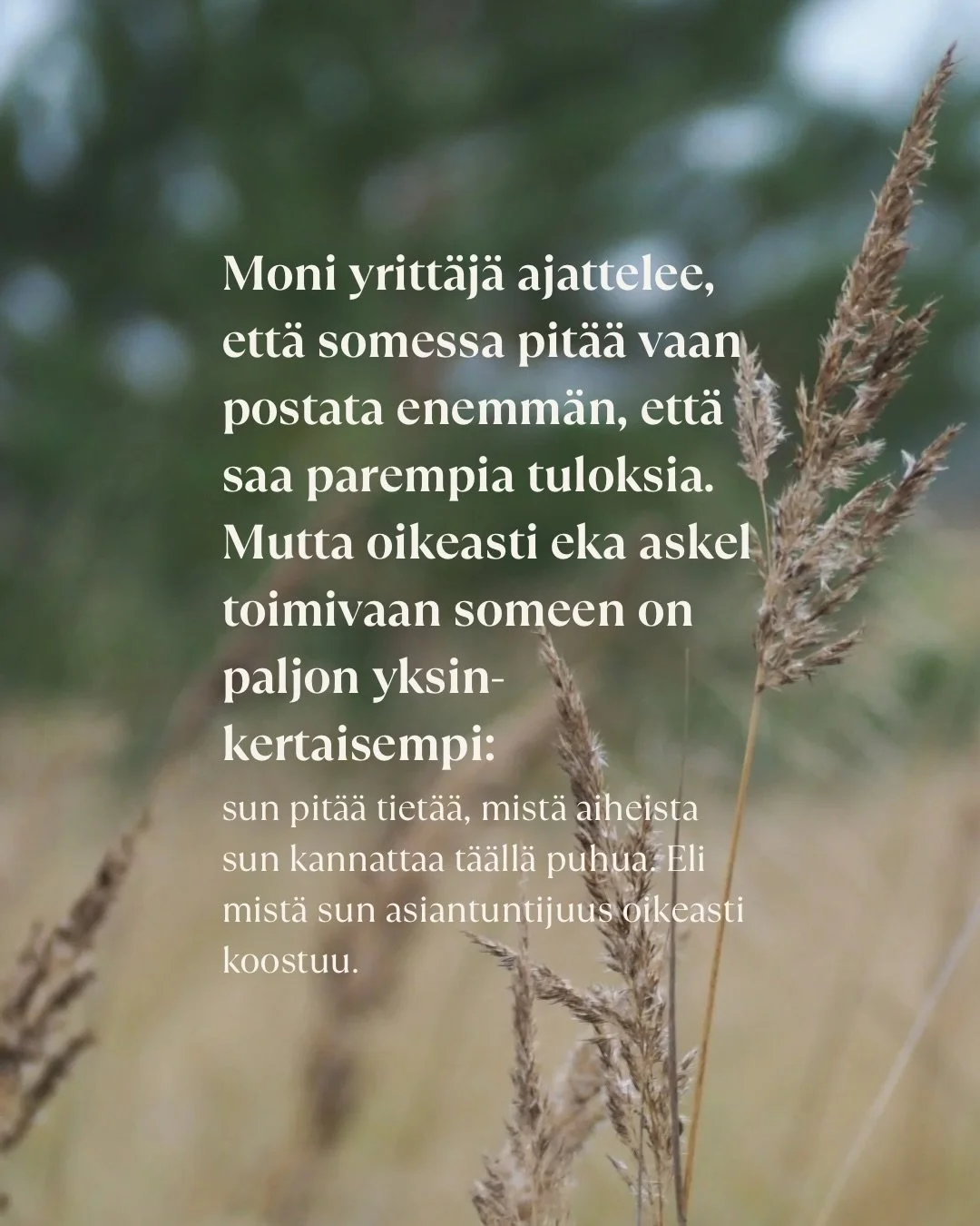 Moni yritt&auml;j&auml; ajattelee, ett&auml; somessa pit&auml;&auml; vain postata enemm&auml;n. Mutta yleens&auml; ongelma ei ole postausten m&auml;&auml;r&auml; &ndash; vaan ep&auml;selv&auml; suunta. 🫠

Kun tied&auml;t:
✨ mist&auml; aiheista puhut