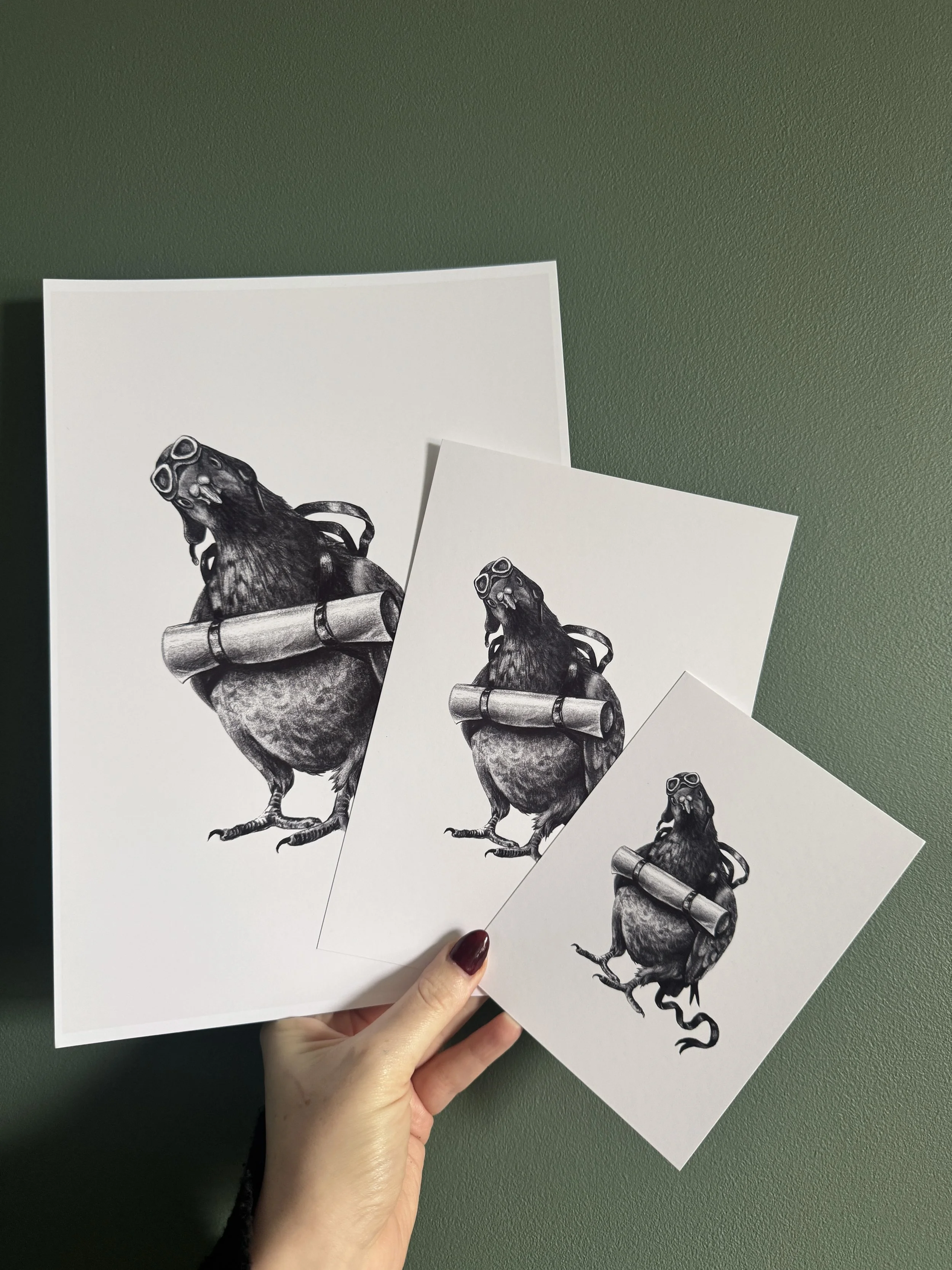 Carrier Pigeon Print