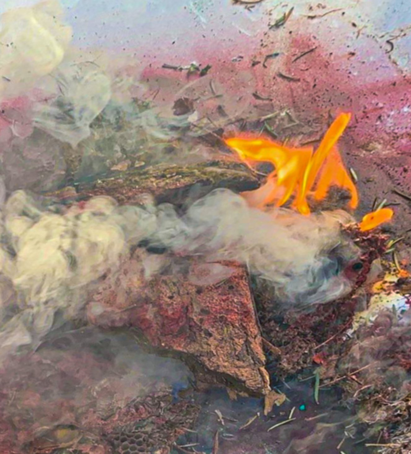 The Phoenix Rising.jpg