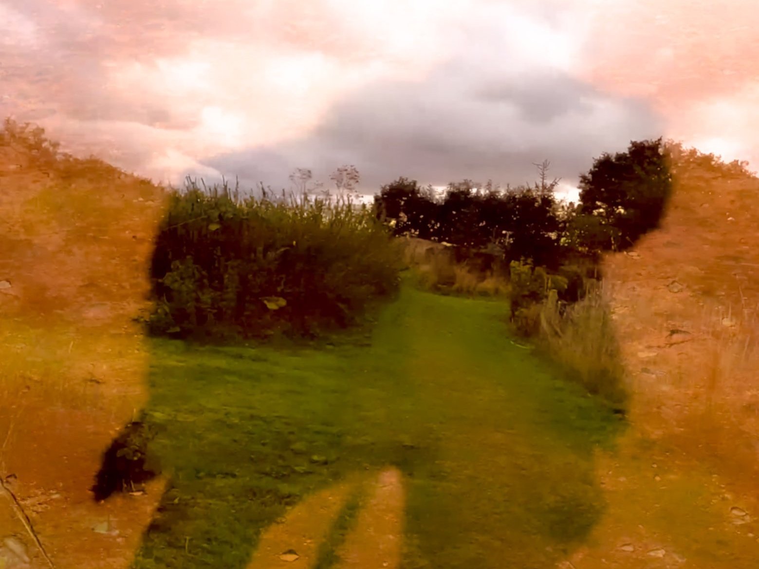 Earth+Walker.jpg