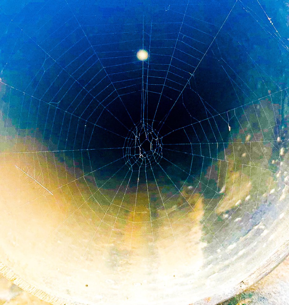 Spider Web Medicine