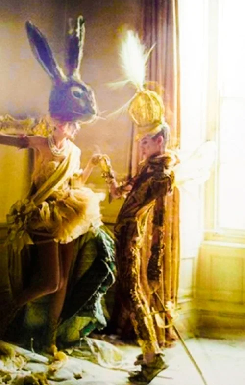 Rabbit Hole Inspiration.jpg