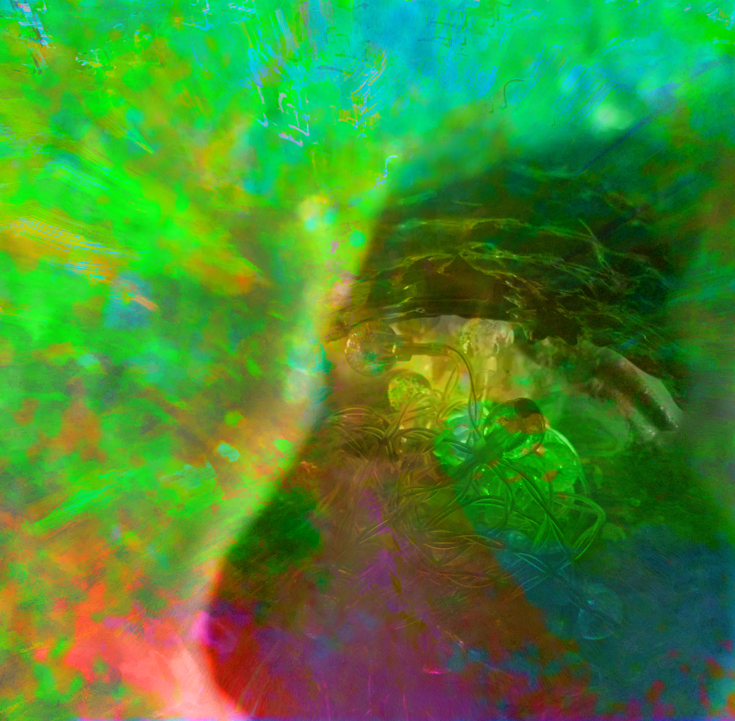 the bone mother in the forst_.png