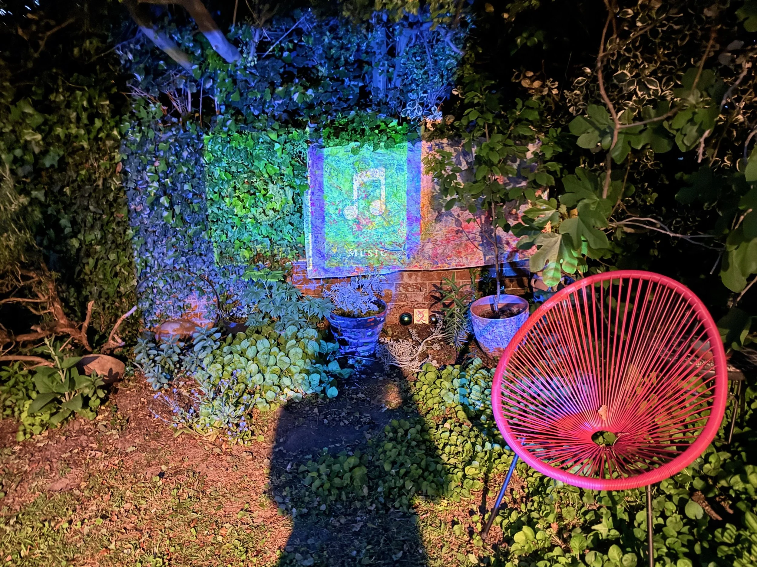 IMG_8238.jpeg