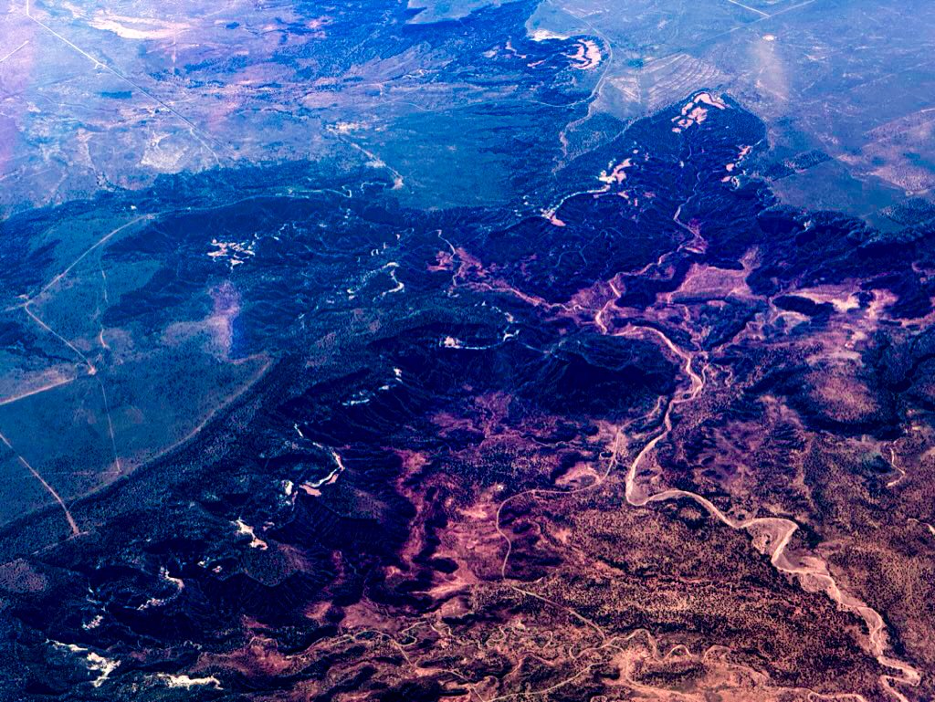 Flying to new mexico horse 2.jpg