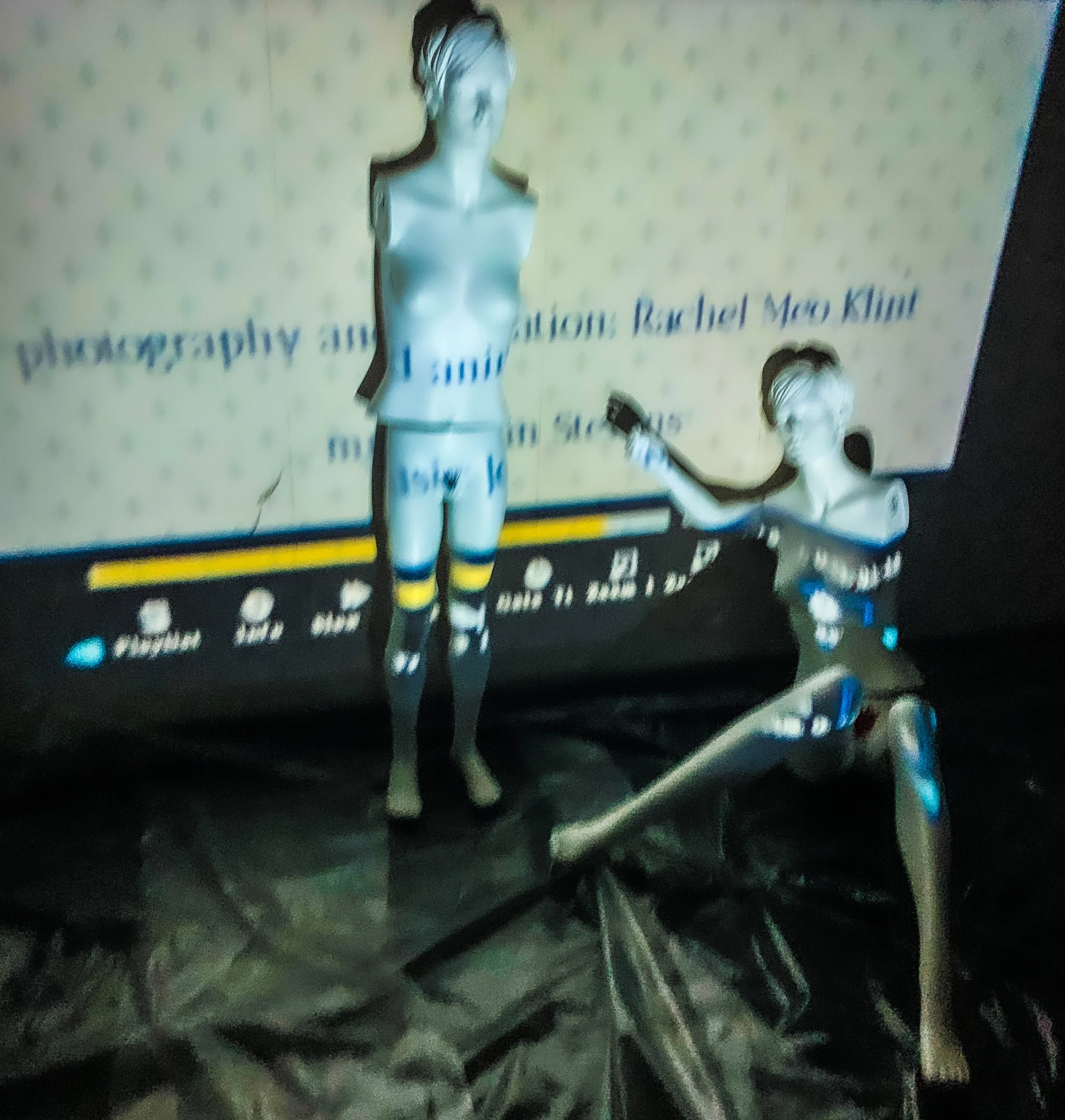 whiten horse mannequins.jpg