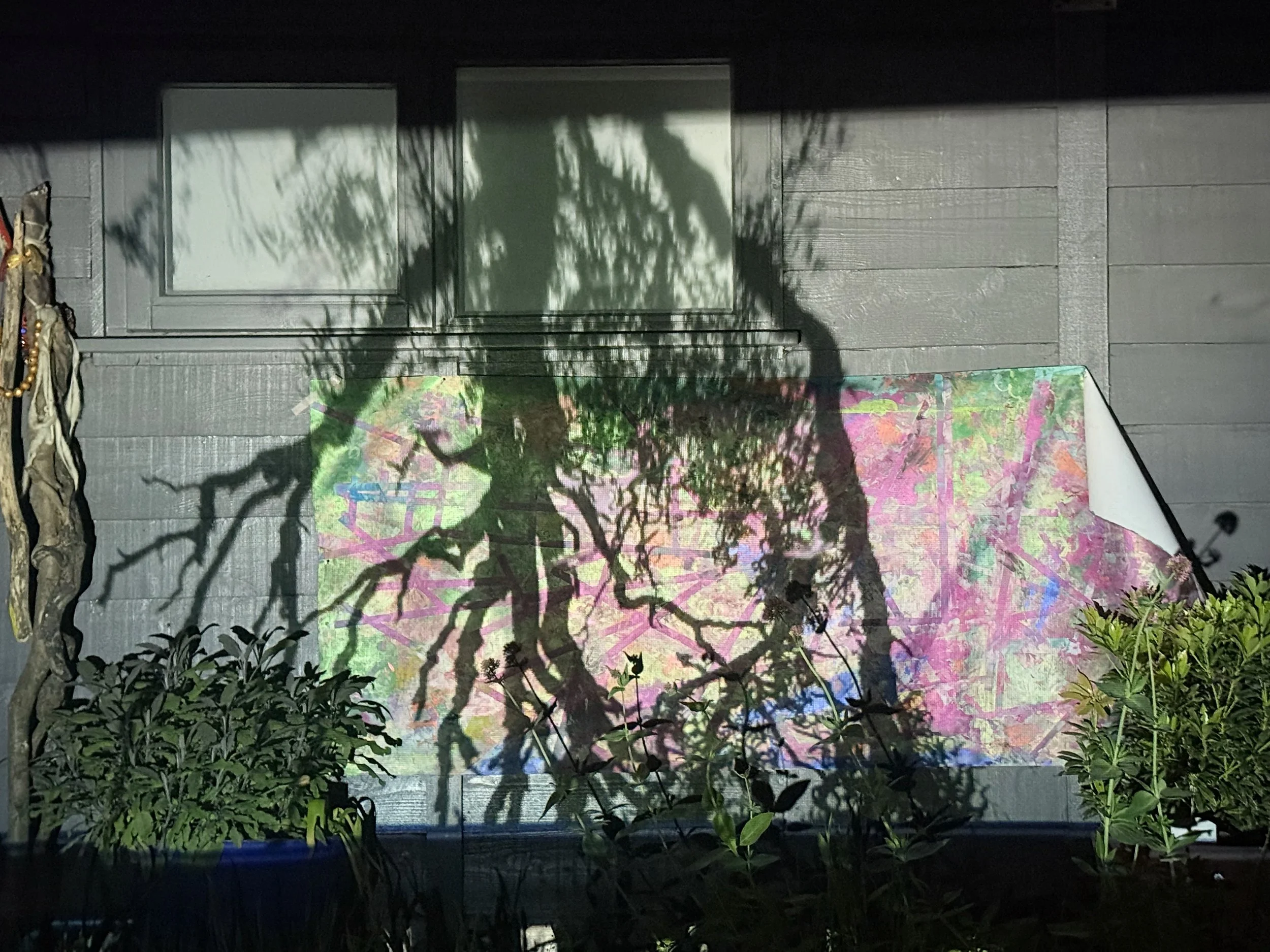 IMG_9417.jpeg