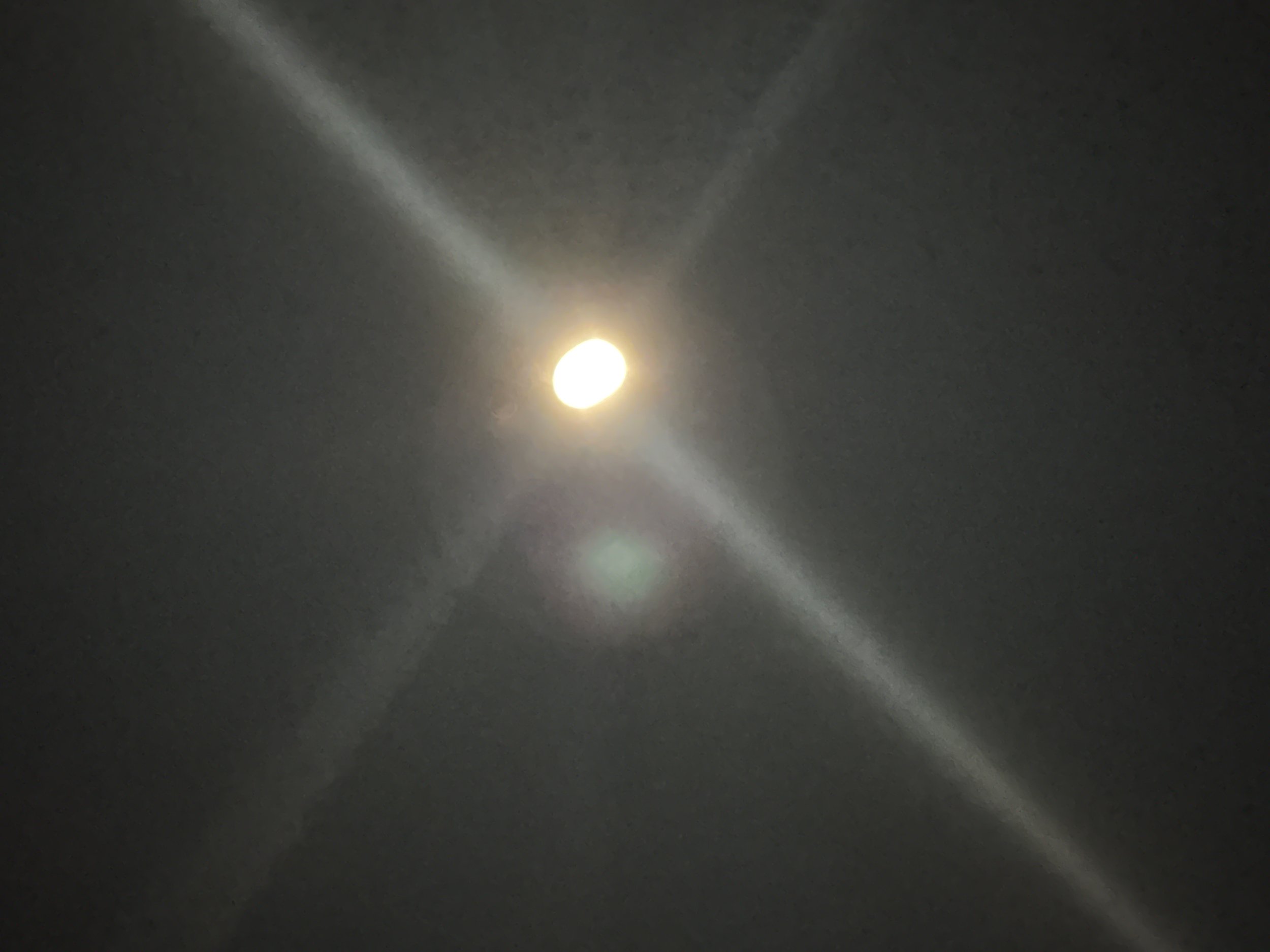 IMG_9571.jpeg