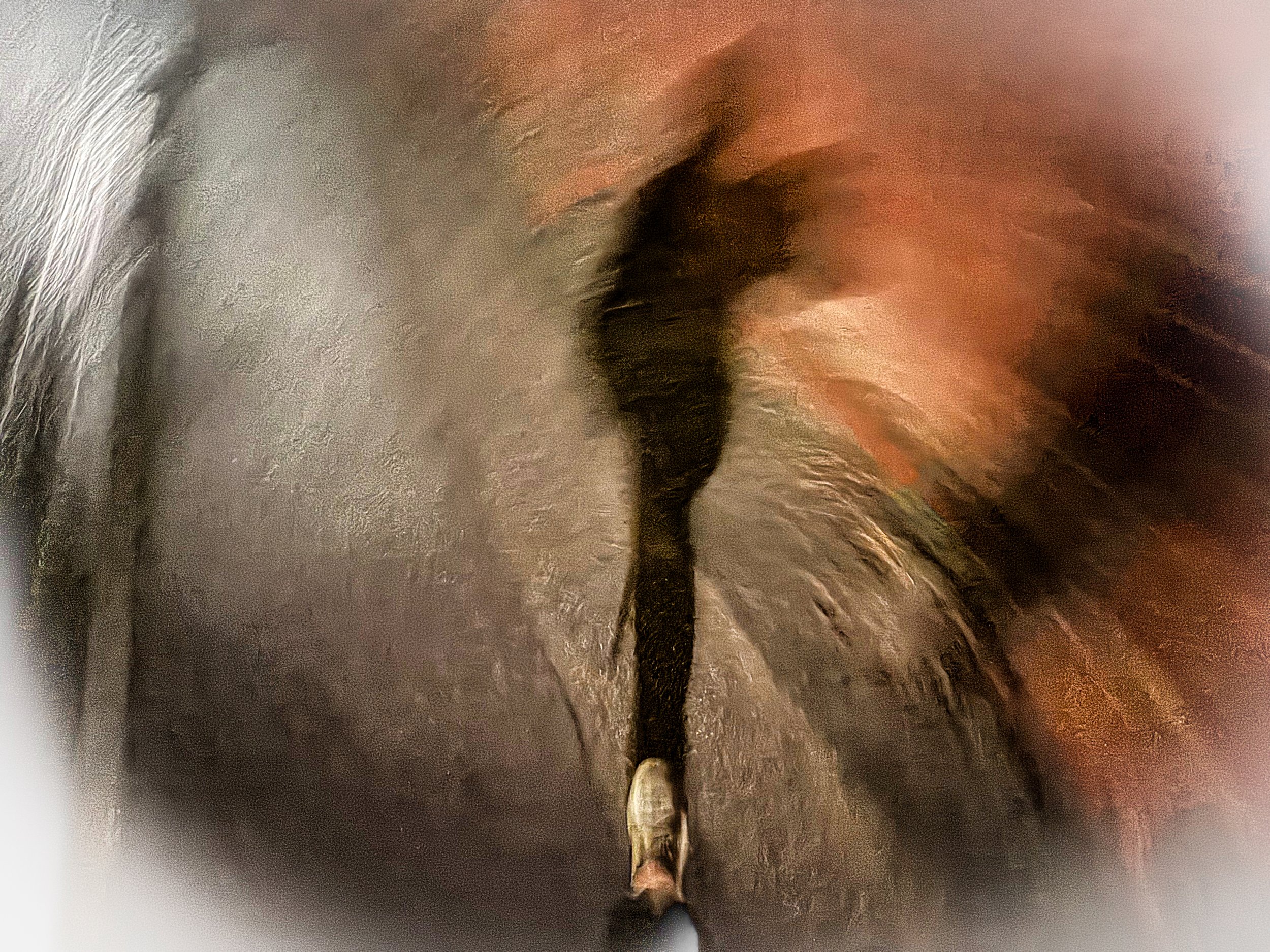 Shadow Walking Motion Pic.jpg