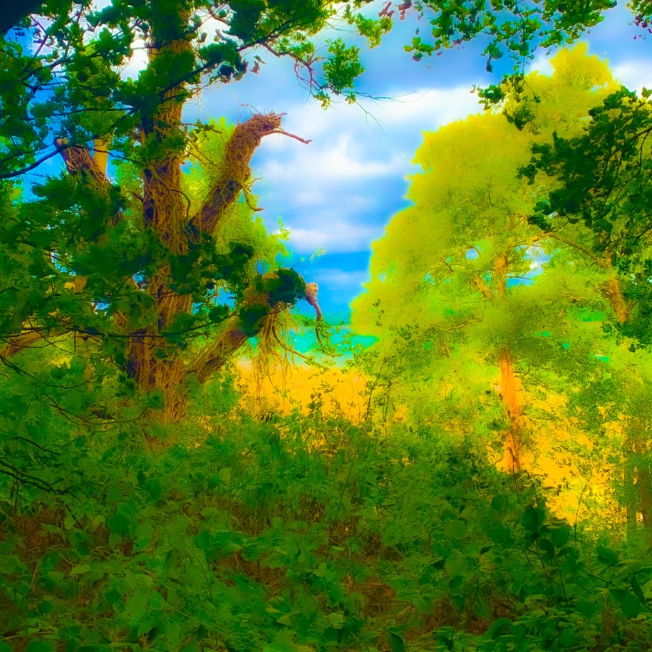 Bright and Beautiful River View.jpg