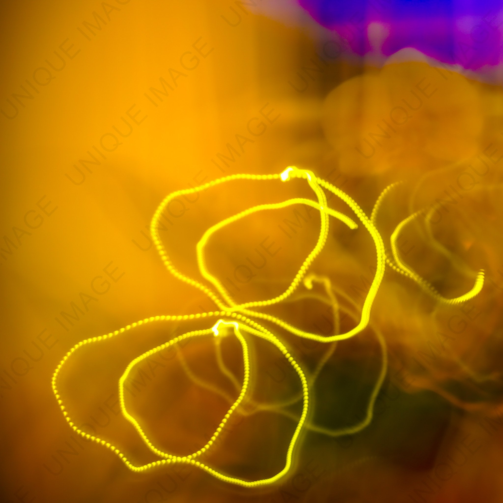 Orchid Light