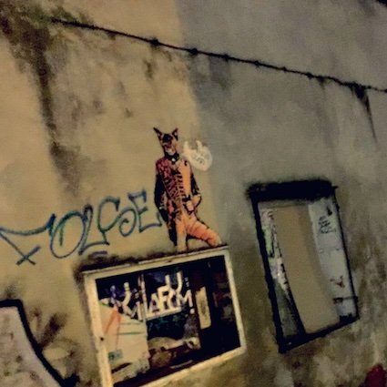 Urban Fox Murial Lodz Poland