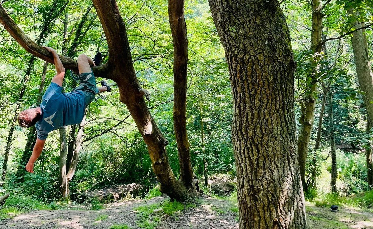 Natural Movement & Rehabilitation