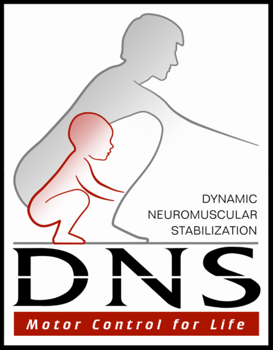 DNS Logo.png