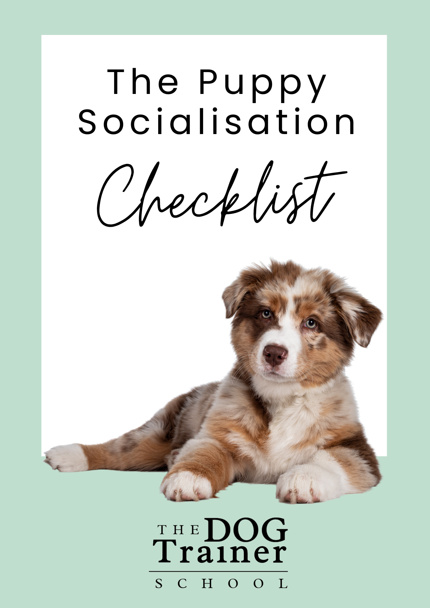 Single Puppy Socialisation Checklist